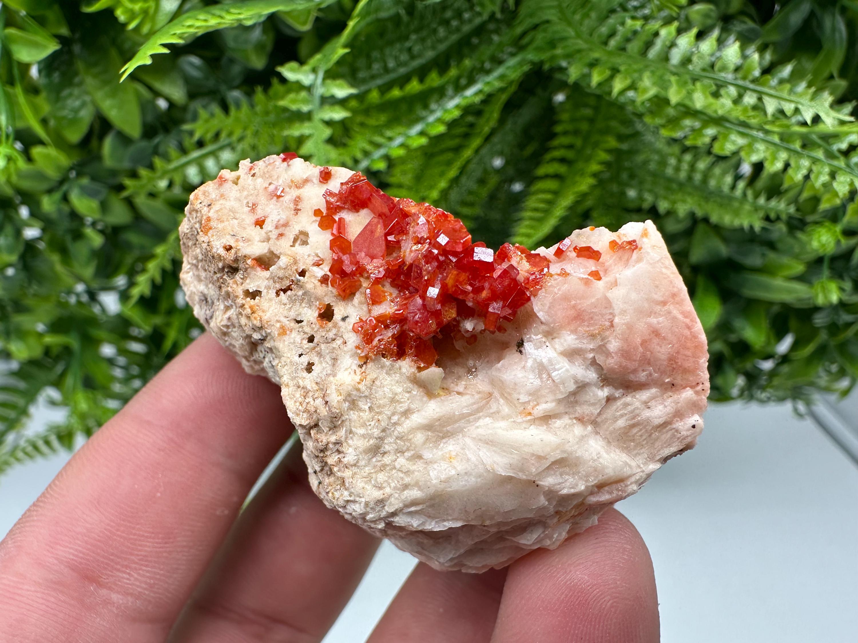 Red Vanadinite on Barite, Morocco Mineral Specimen