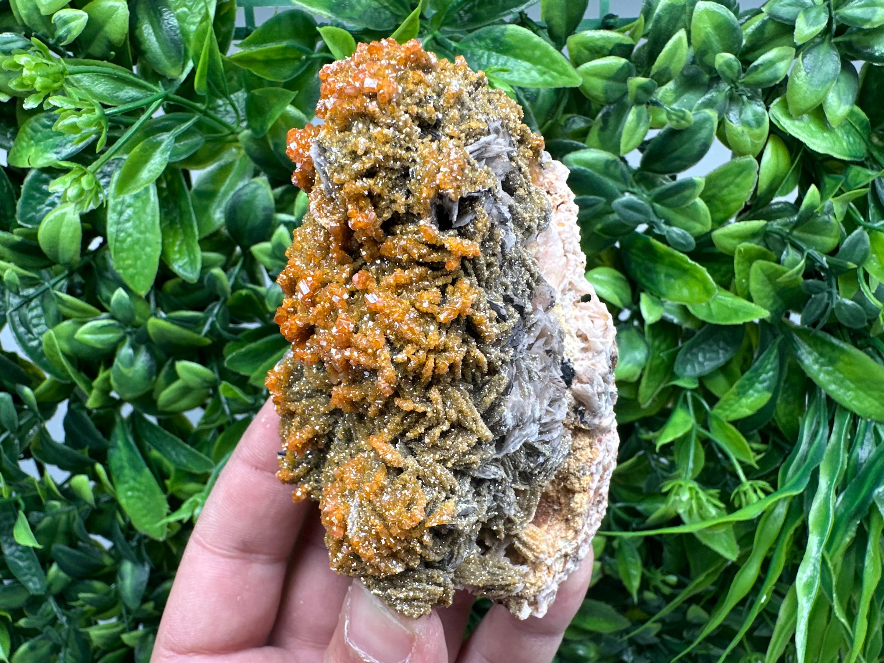 VERY Rare red Vanadinite on Barite whit Goethite from Marocco,crystal minerals Speciment cluster Vanadinite crystal Vanadinite Geology Vanad