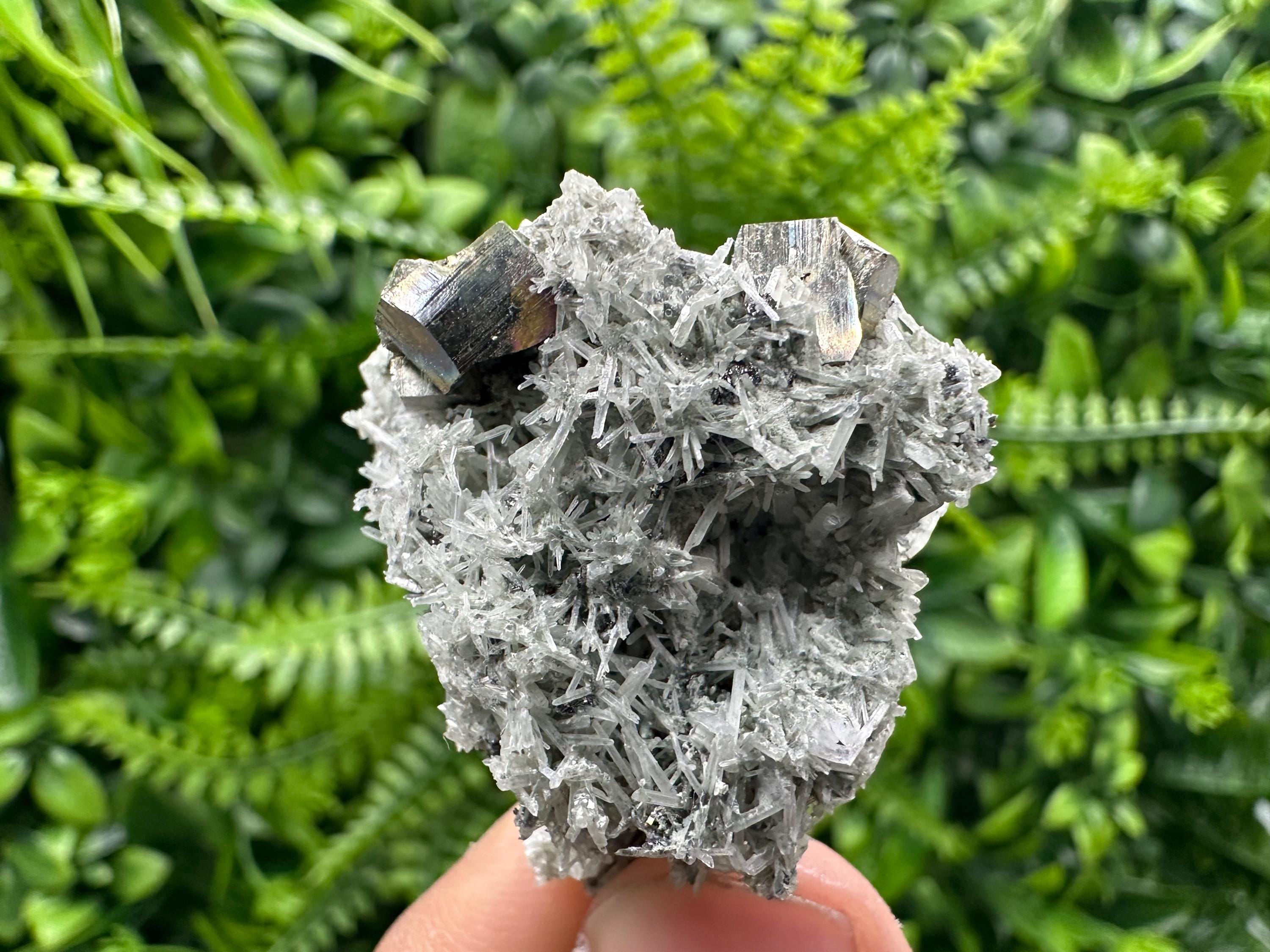 Pyrite on Green Quartz Mineral Specimen, Borieva Mine Crystal