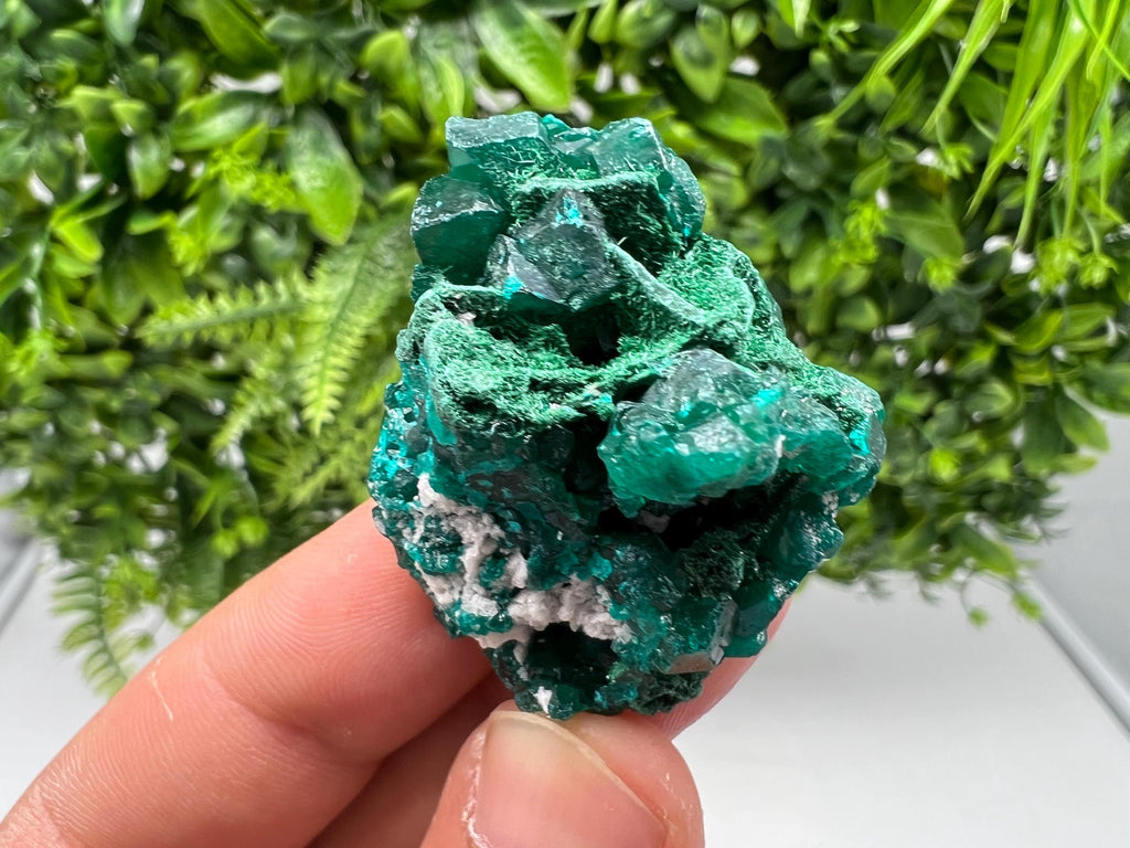 Stunning Green Dioptase from Sanda Hills,Mindouli,Pool Department,Mindouli District,Congo,green Dioptase,Dioptas Crystal,Dioptase collecting