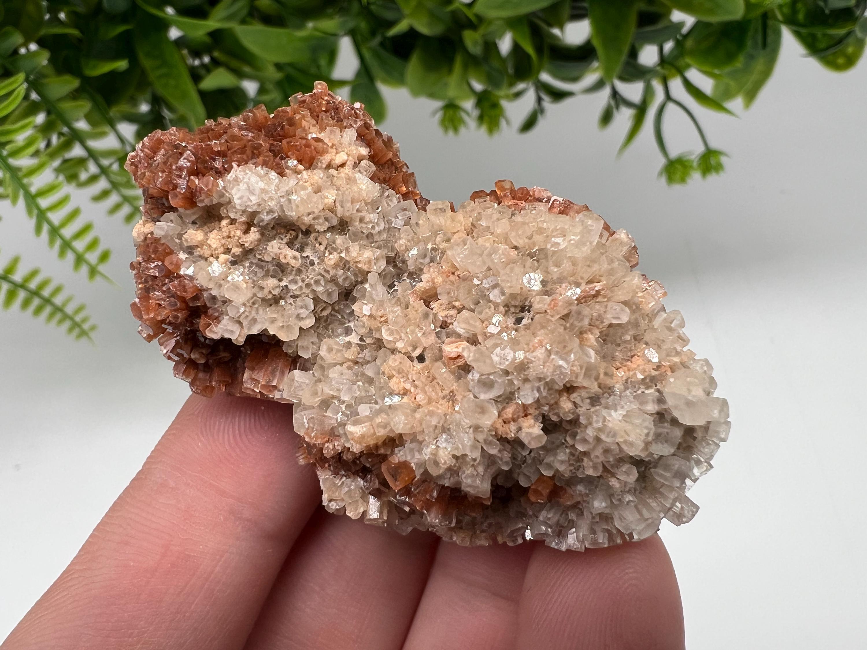 Large Aragonite Sputnik Cluster: Raw Moroccan Crystal Stone