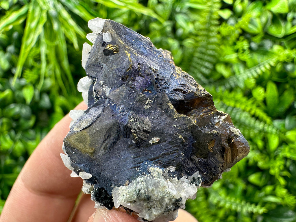Chalcopyrite Borinite Covelline Mineral Specimen: Djurcovo Mine, Bulgaria
