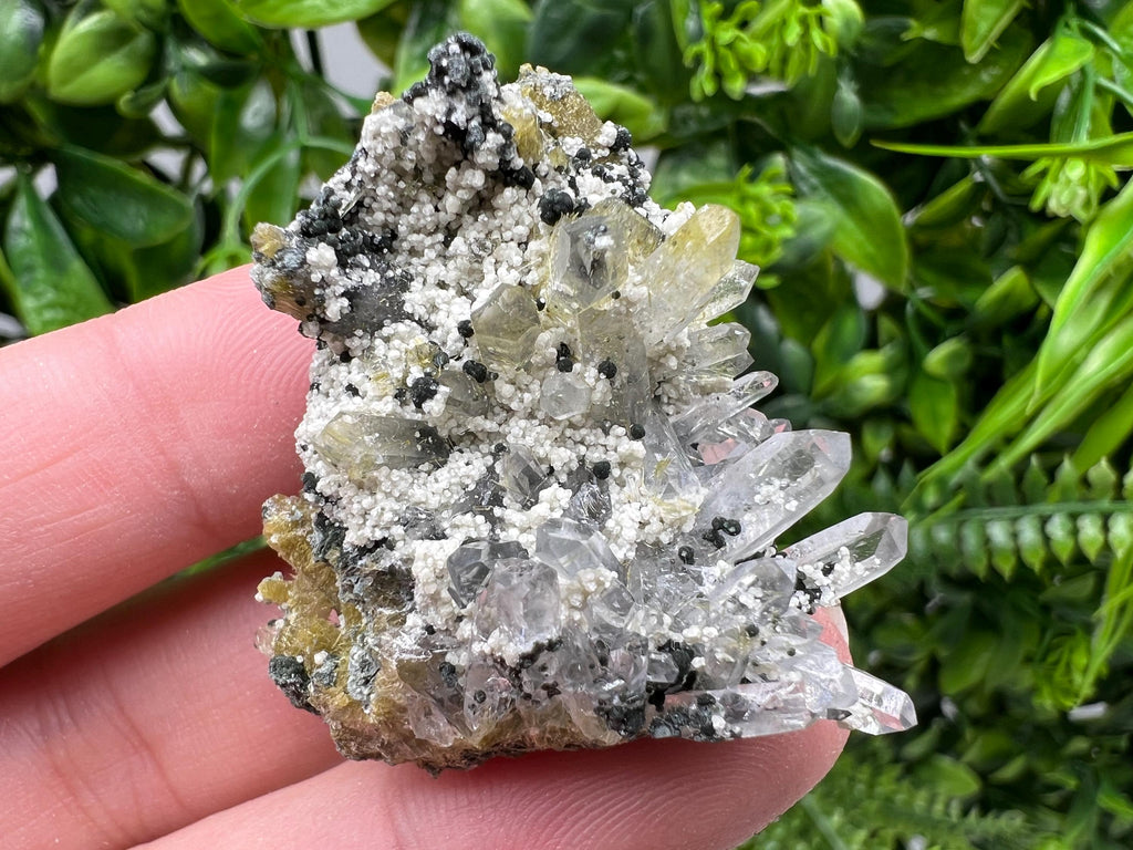 Chlorite Epidote Quartz Specimen, Borieva Mine, Bulgaria