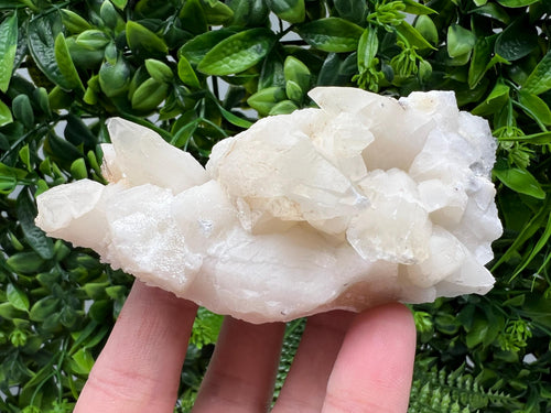 Bulgarian Calcite on Green Quartz, Laki Djurcovo Mine
