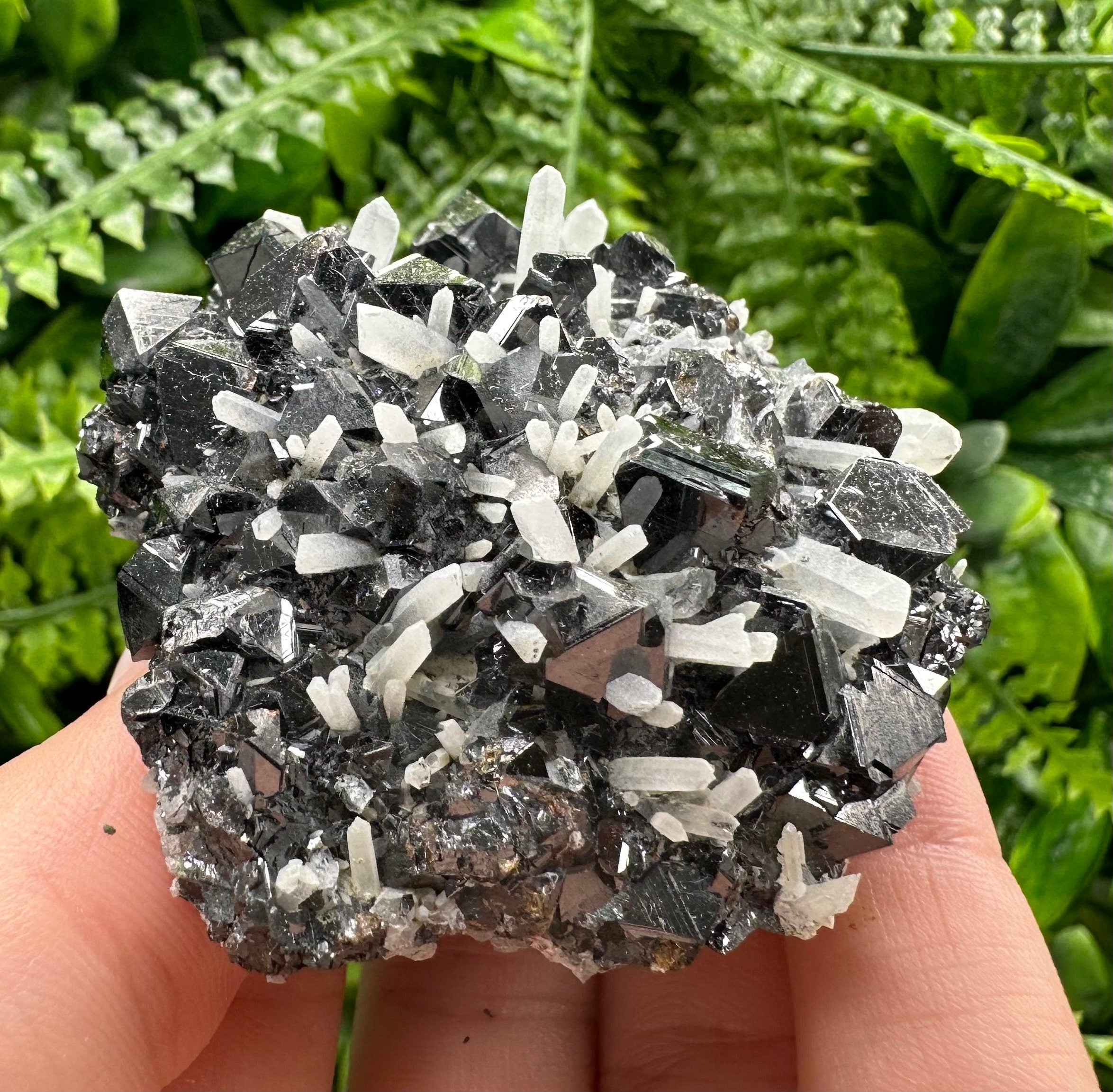 Borieva Mine Sphalerite on Quartz: Rare Mineral Cluster