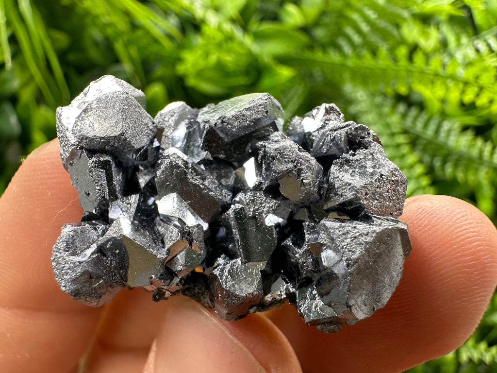 Shiny Galena Cluster: Borieva Mine, Madan, Bulgaria