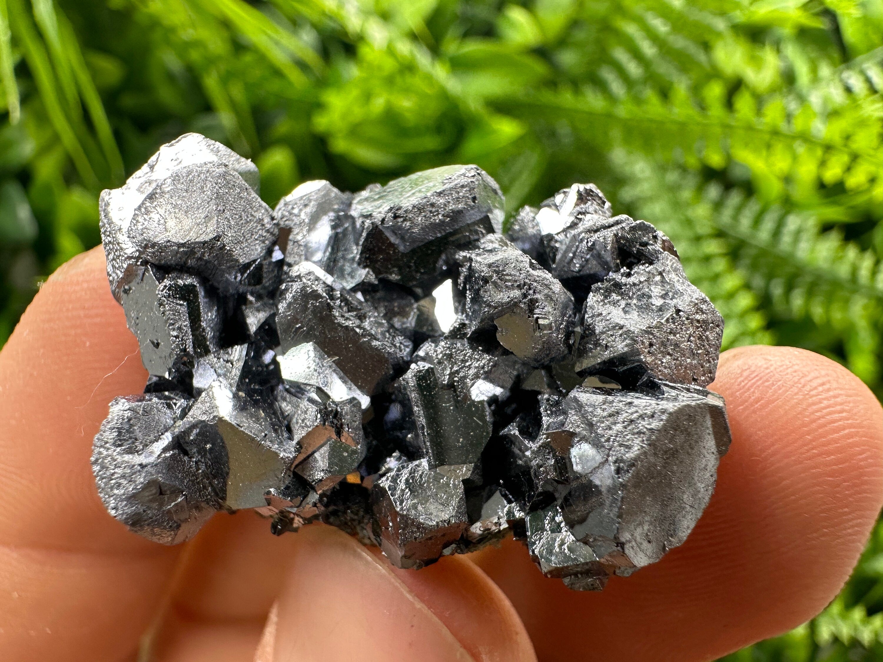 Shiny Galena Cluster: Borieva Mine, Madan, Bulgaria