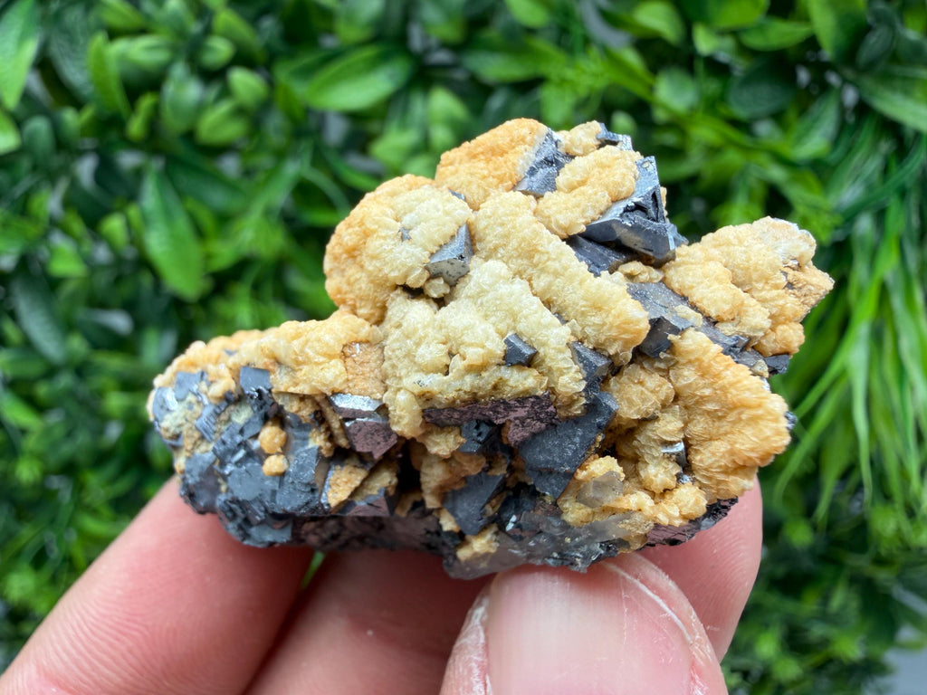Skeletal Galena with Dolomite: Krushev Dol Mine, Bulgaria