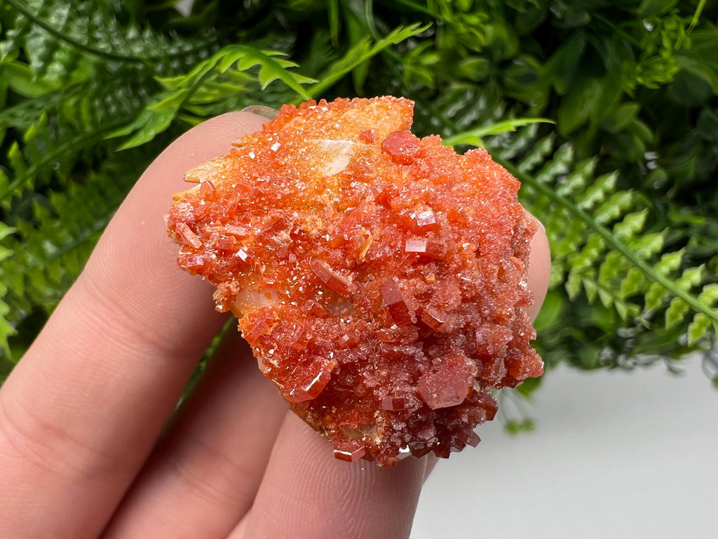 Red Vanadinite Crystal Cluster on Barite, Morocco Mineral Specimen