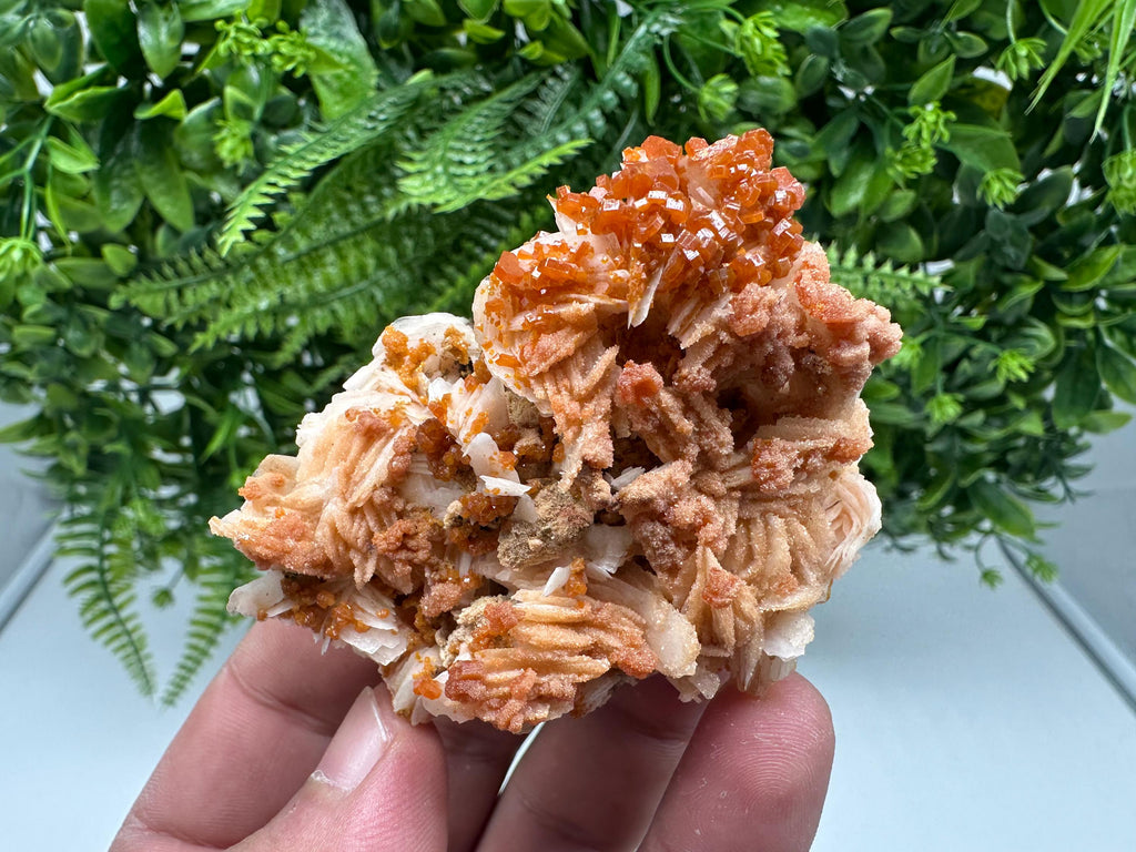 Red Vanadinite on Barite from Marocco,crystal minerals Speciment cluster Vanadinite crystal Vanadinite Geology Vanadinite cluster minerals