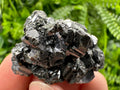 Shiny Galena with Sphalerite, Rare Crystal Decor, Borieva Mine Bulgaria
