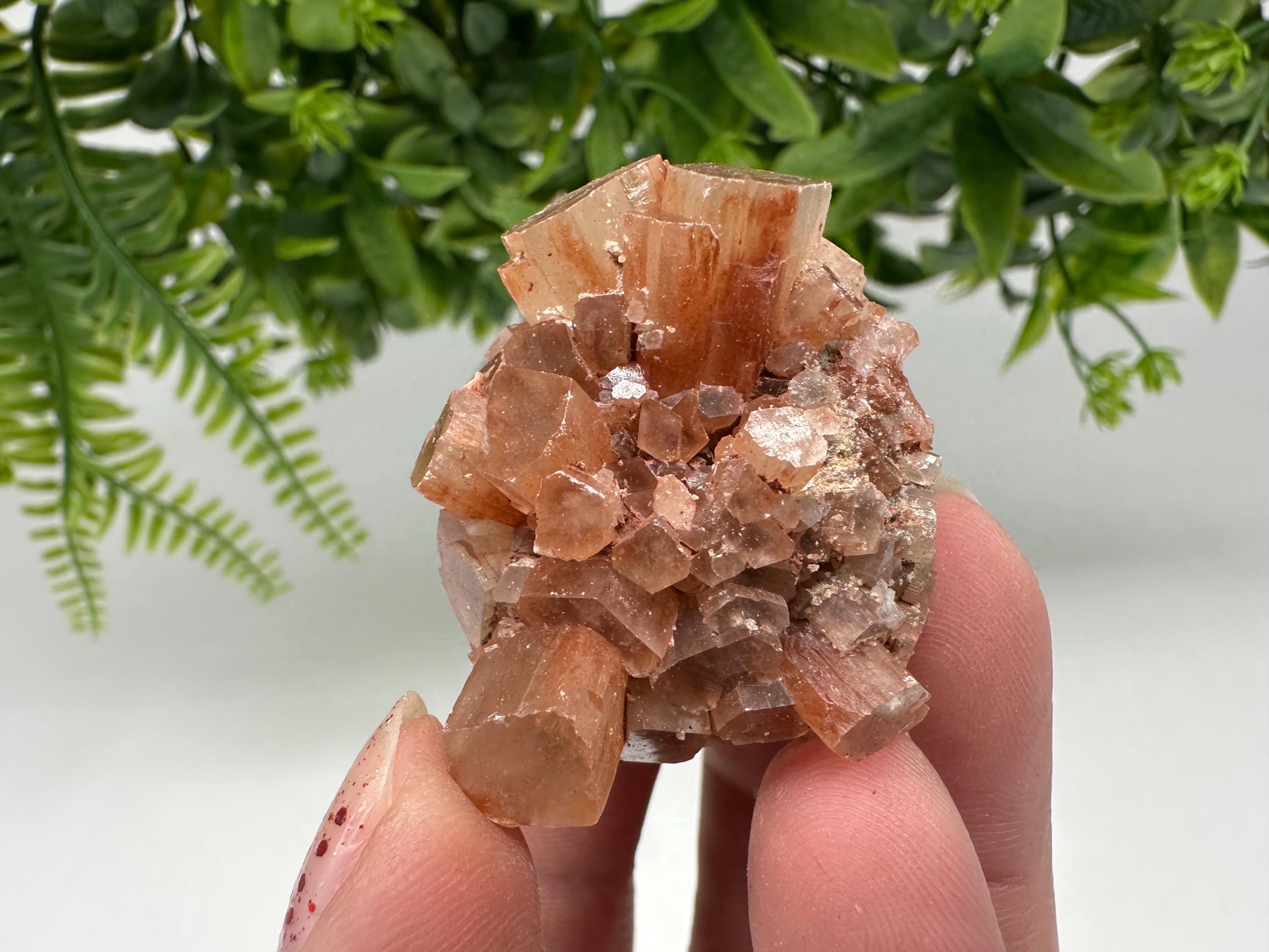 Aragonite Sputnik Cluster: Raw Moroccan Crystal Stone, Home Decor