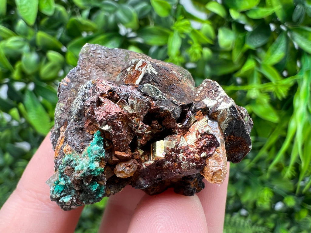 Malachite on Chalcopyrite Mineral Specimen: 9th September Mine, Bulgaria