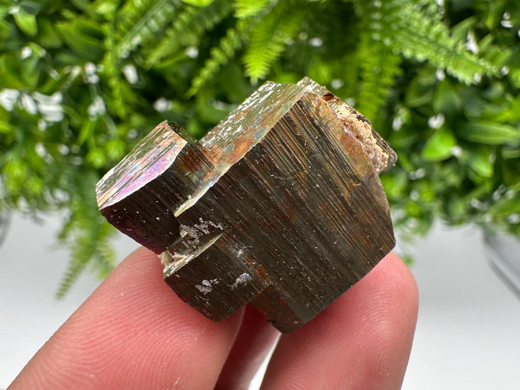 Rainbow Pyrite with Calcite, Natural Mineral Souvenir from Borieva Bulgaria