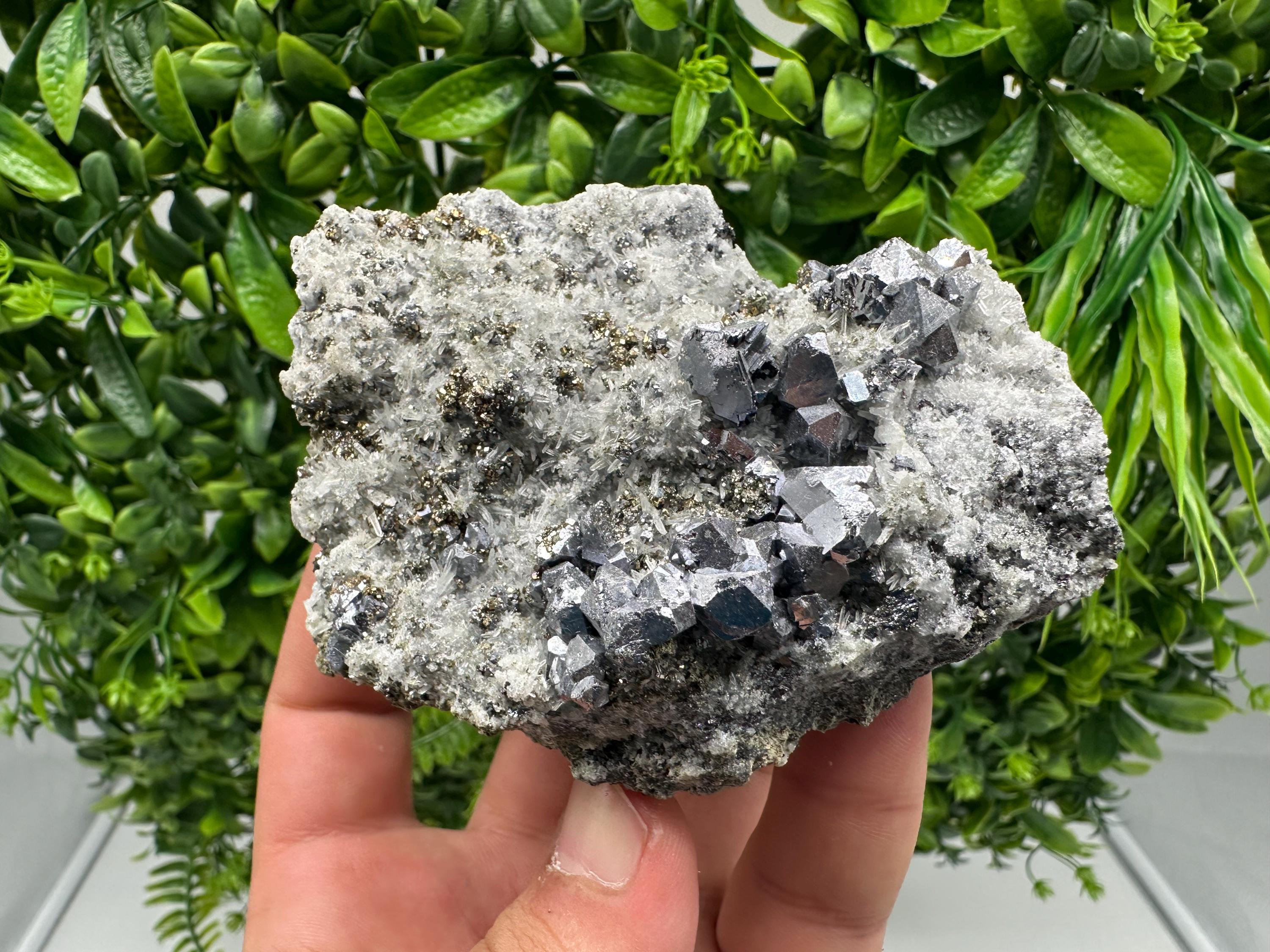 Galena Sphalerite Pyrite on Quartz: Borieva Mine Mineral Cluster