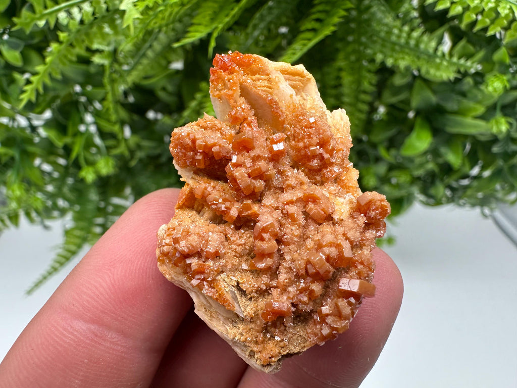 Red Vanadinite on Barite Specimen, Morocco Crystal Cluster
