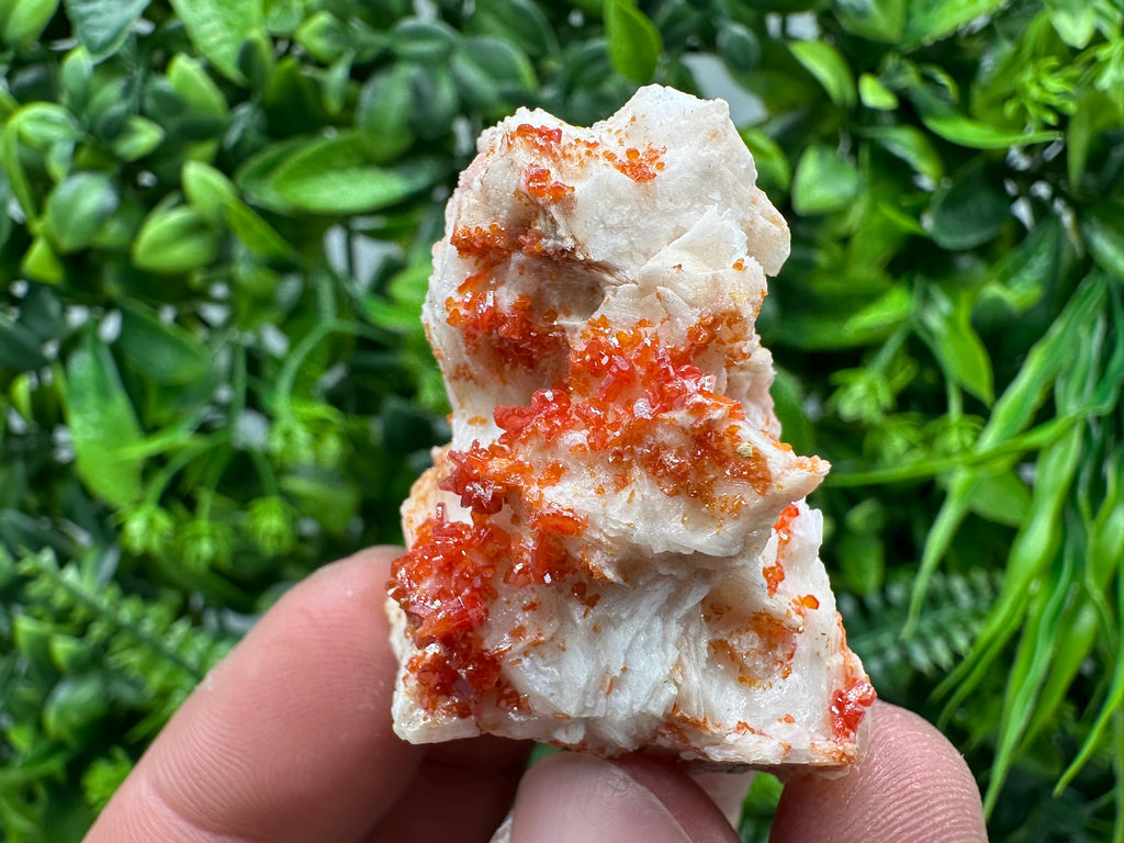 Red Vanadinite Crystal on Barite, Morocco Mineral Specimen