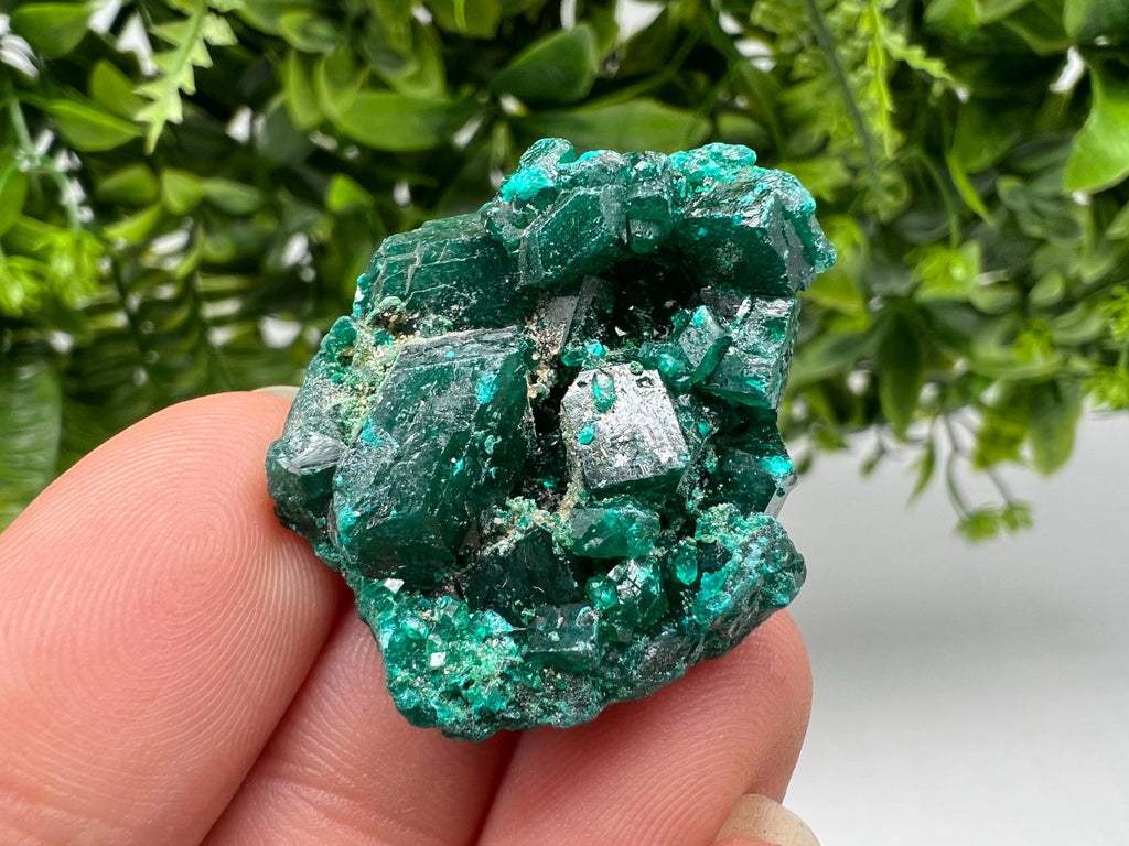 Stunning Green Dioptase from Sanda Hills,Mindouli,Pool Department,Mindouli District,Congo,green Dioptase,Dioptas Crystal,Dioptase collecting