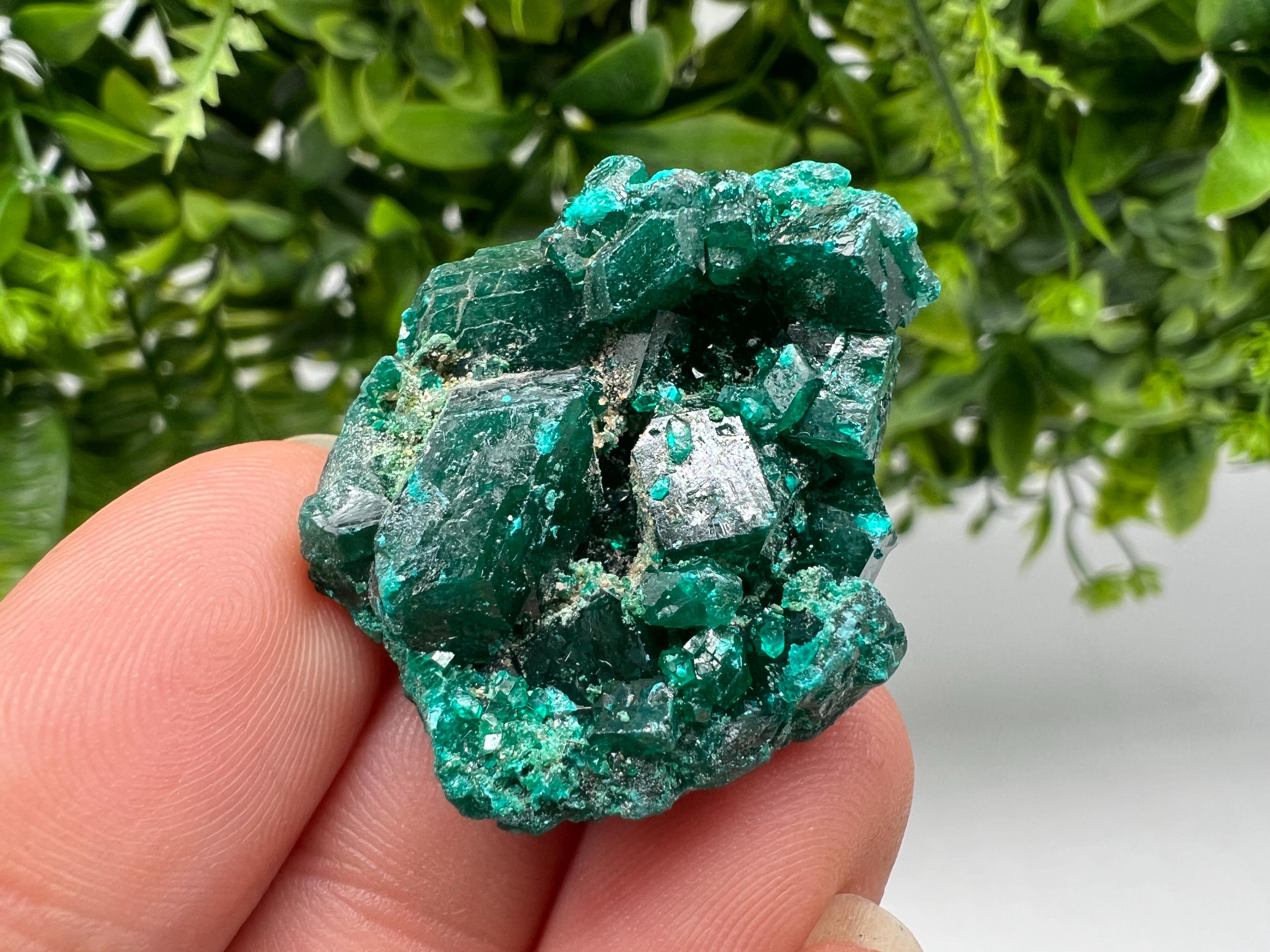 Stunning Green Dioptase from Sanda Hills,Mindouli,Pool Department,Mindouli District,Congo,green Dioptase,Dioptas Crystal,Dioptase collecting