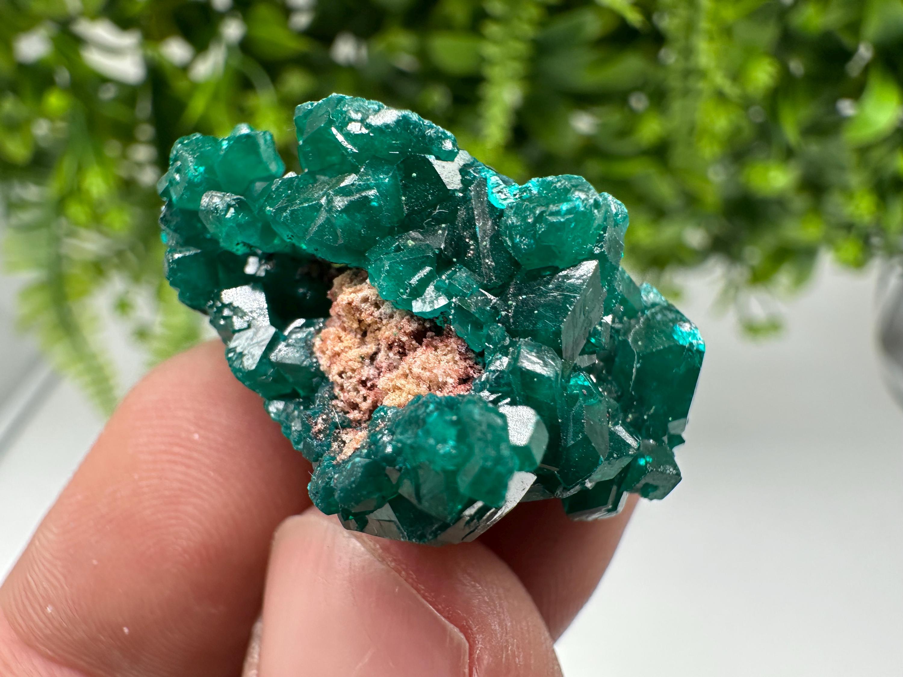 Green Dioptase Crystal Specimen, Sanda Hills Congo Mineral, Collector\'s Piece