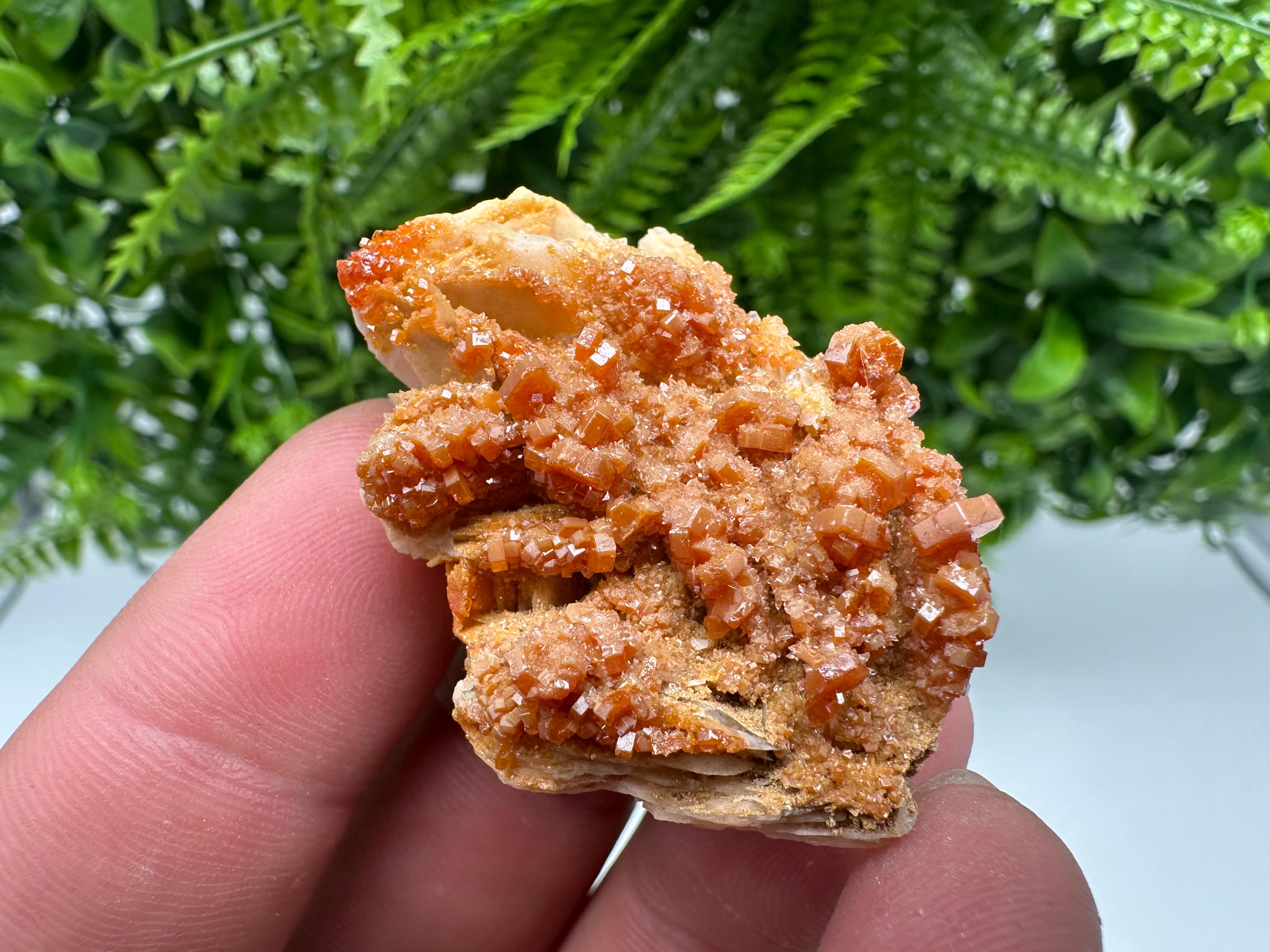 Red Vanadinite on Barite Specimen, Morocco Crystal Cluster