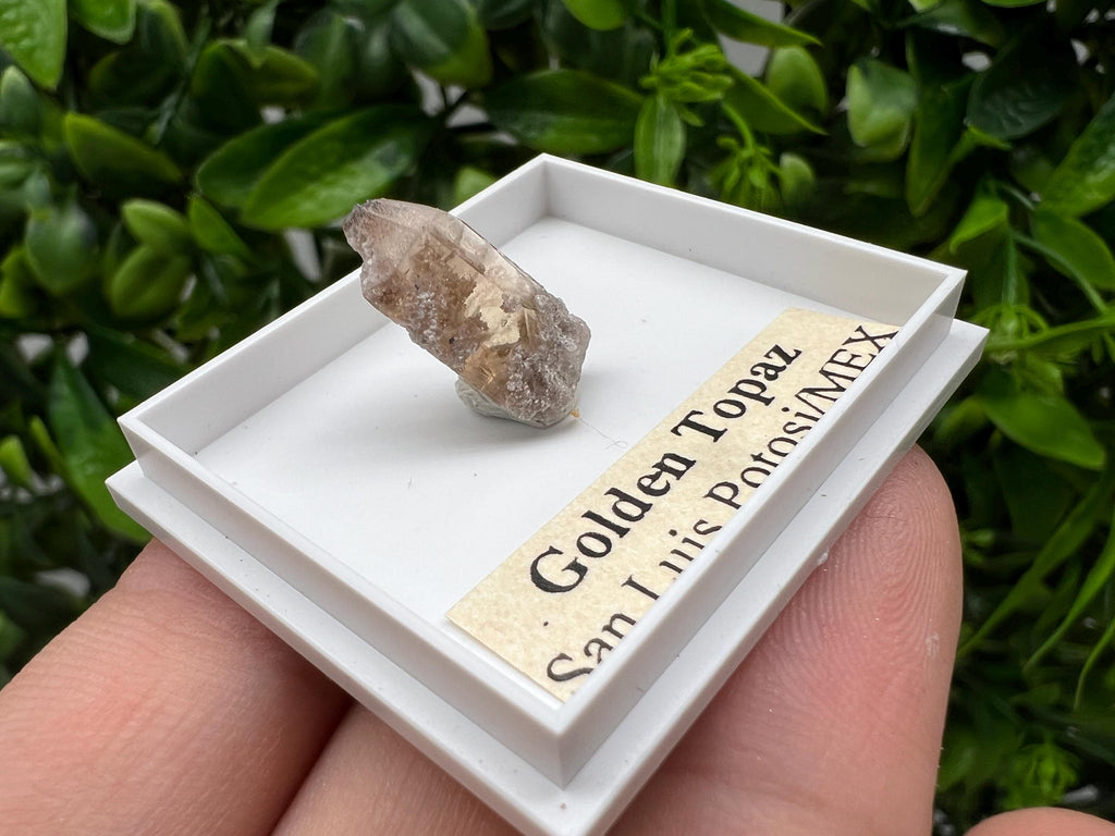 Beautiful Golden Topaz from Mexico,collection piece Crystal,Mineral,collectibles,Collectors, Natural Crystal, Minerals from Mexico,original,