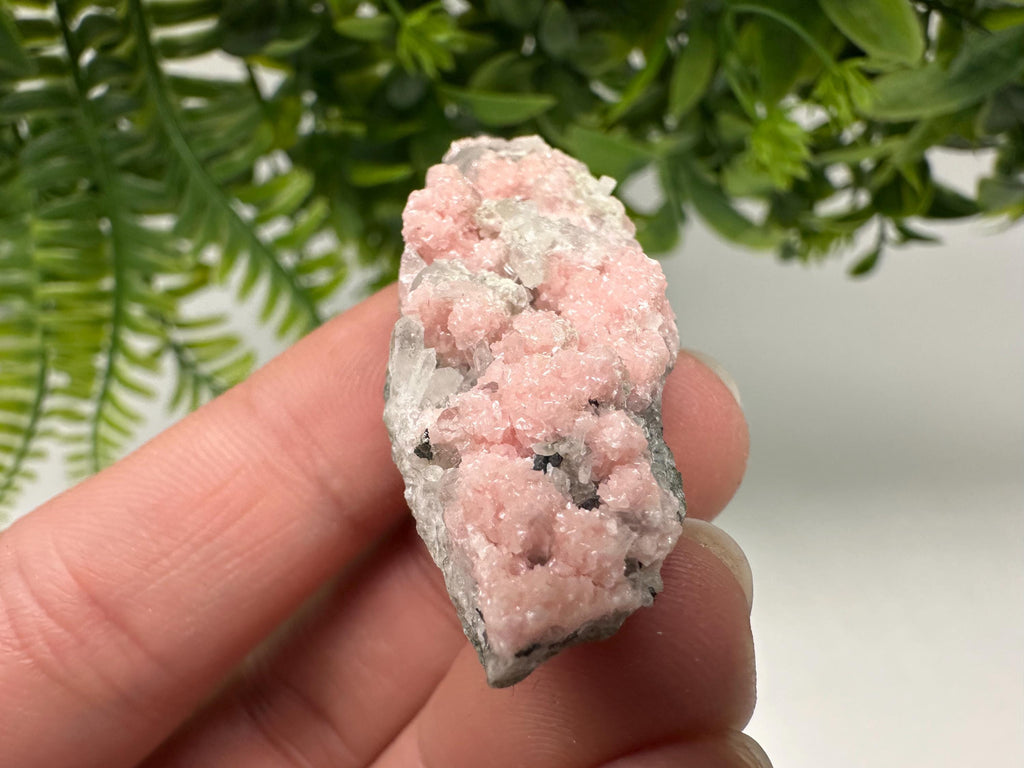 Pink Rhodochrosite Crystal: Starnica Mine, Bulgaria, Home Decor