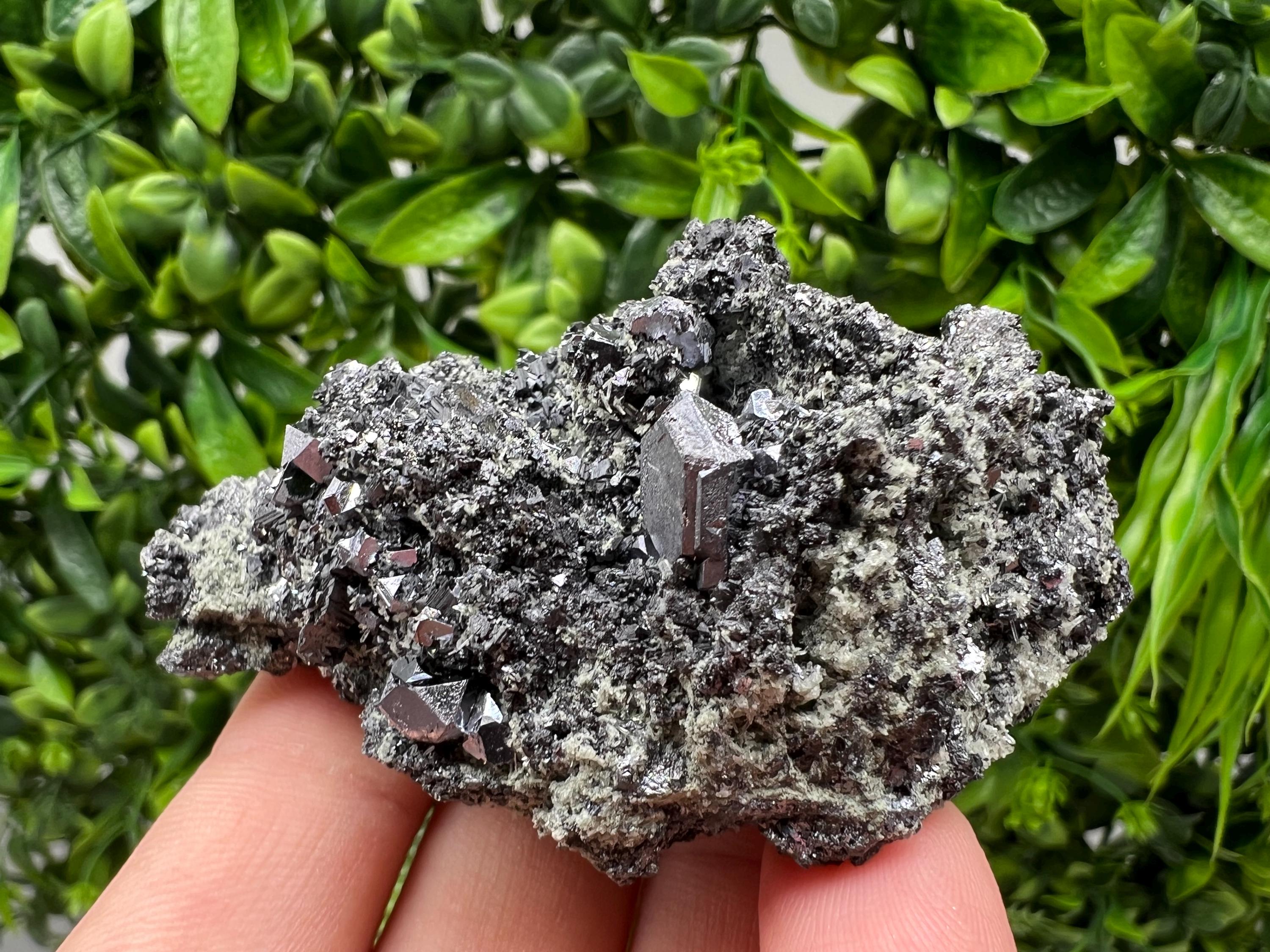 Sphalerite Galena with Chlorite, Borieva Mine Madan Bulgaria