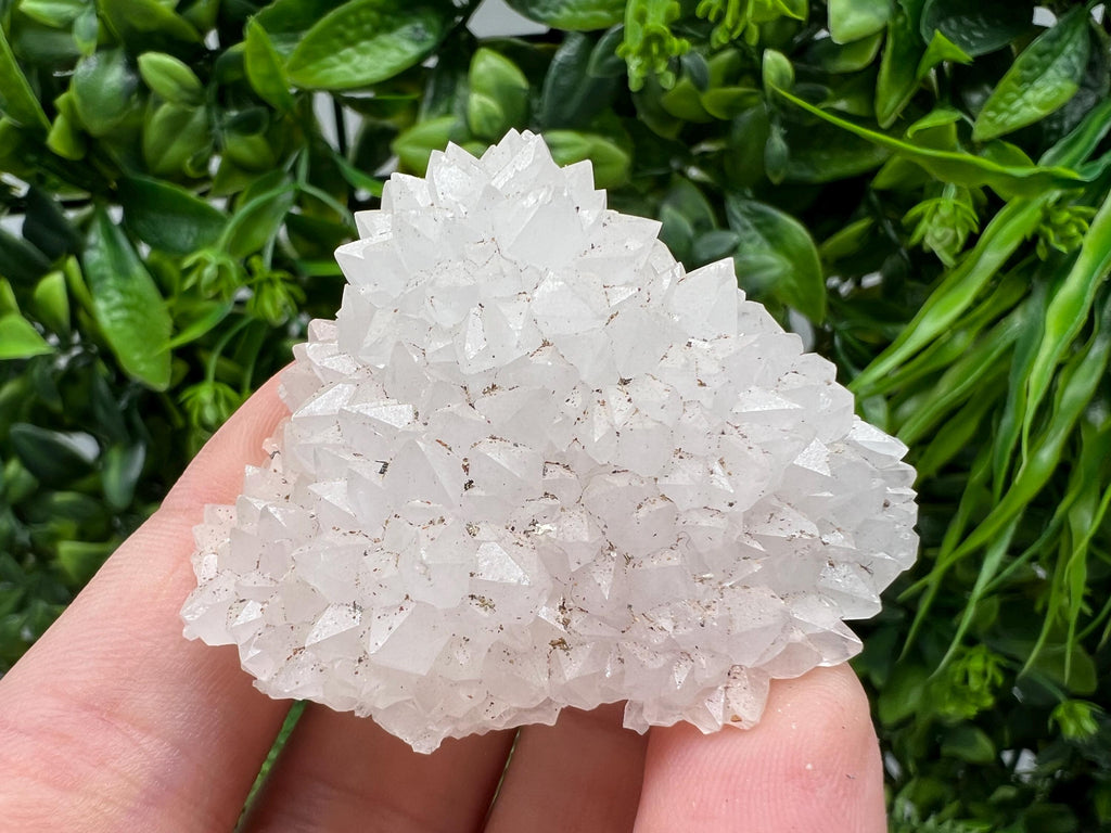 Stunning Transparent Quartz,from Borieva mine,natural collection mineral specimen rare crystal,home decor crystal,quartz cluster,Quartz,gift