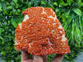 Red Vanadinite on Matrix from Marocco,crystal minerals Speciment cluster Vanadinite crystal Vanadinite Geology Vanadinite cluster minerals