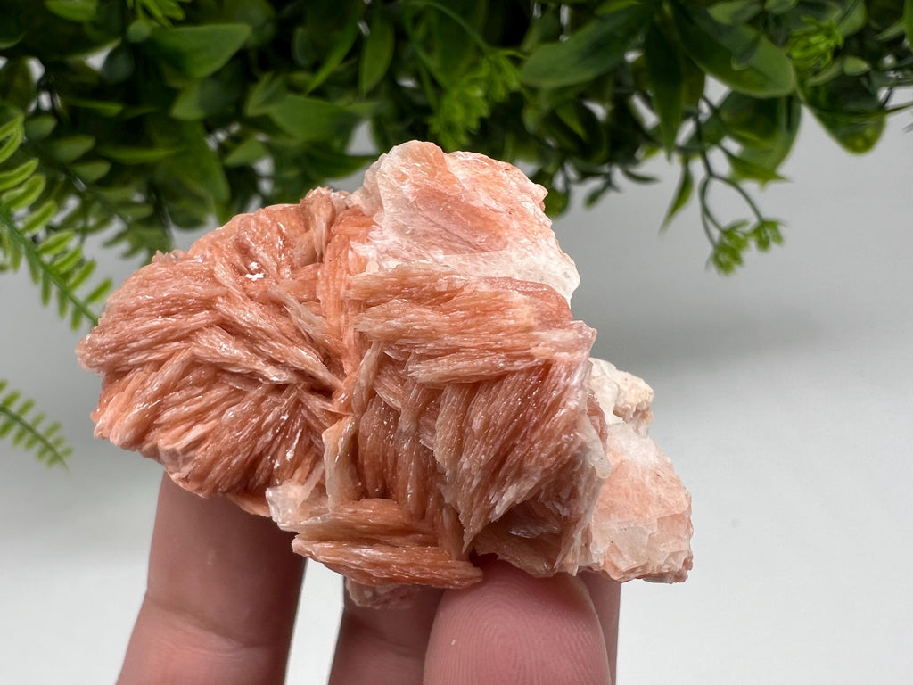 Wonderful Baryte with Cerussite on Galena from Morocco,Crystal, Mineral,Specimen,Cluster,Crystals,Barite Crystal,Cerussite Crystal,Specimen