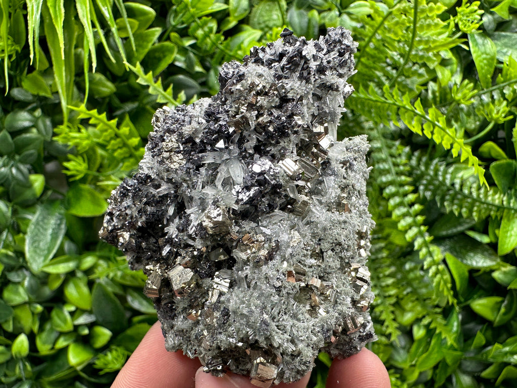 Pyrite on Quartz with Chlorite, Natural Crystal Decor, Borieva Bulgaria