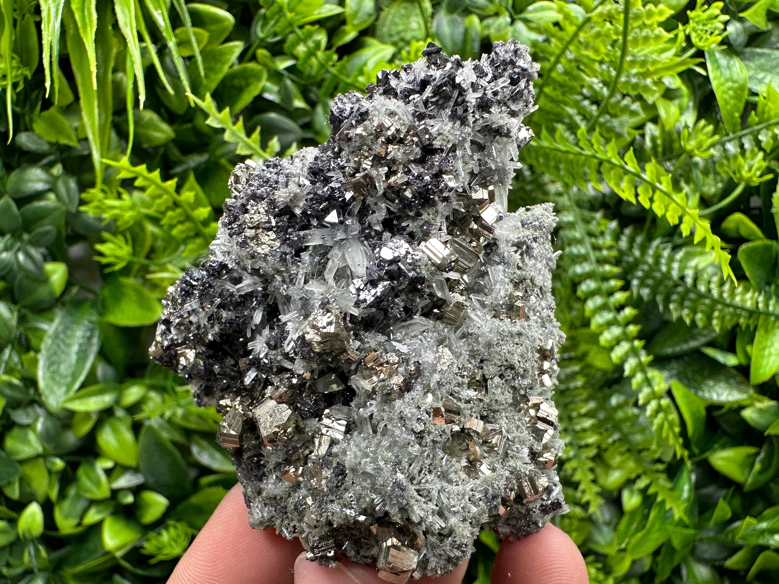 Pyrite on Quartz with Chlorite, Natural Crystal Decor, Borieva Bulgaria