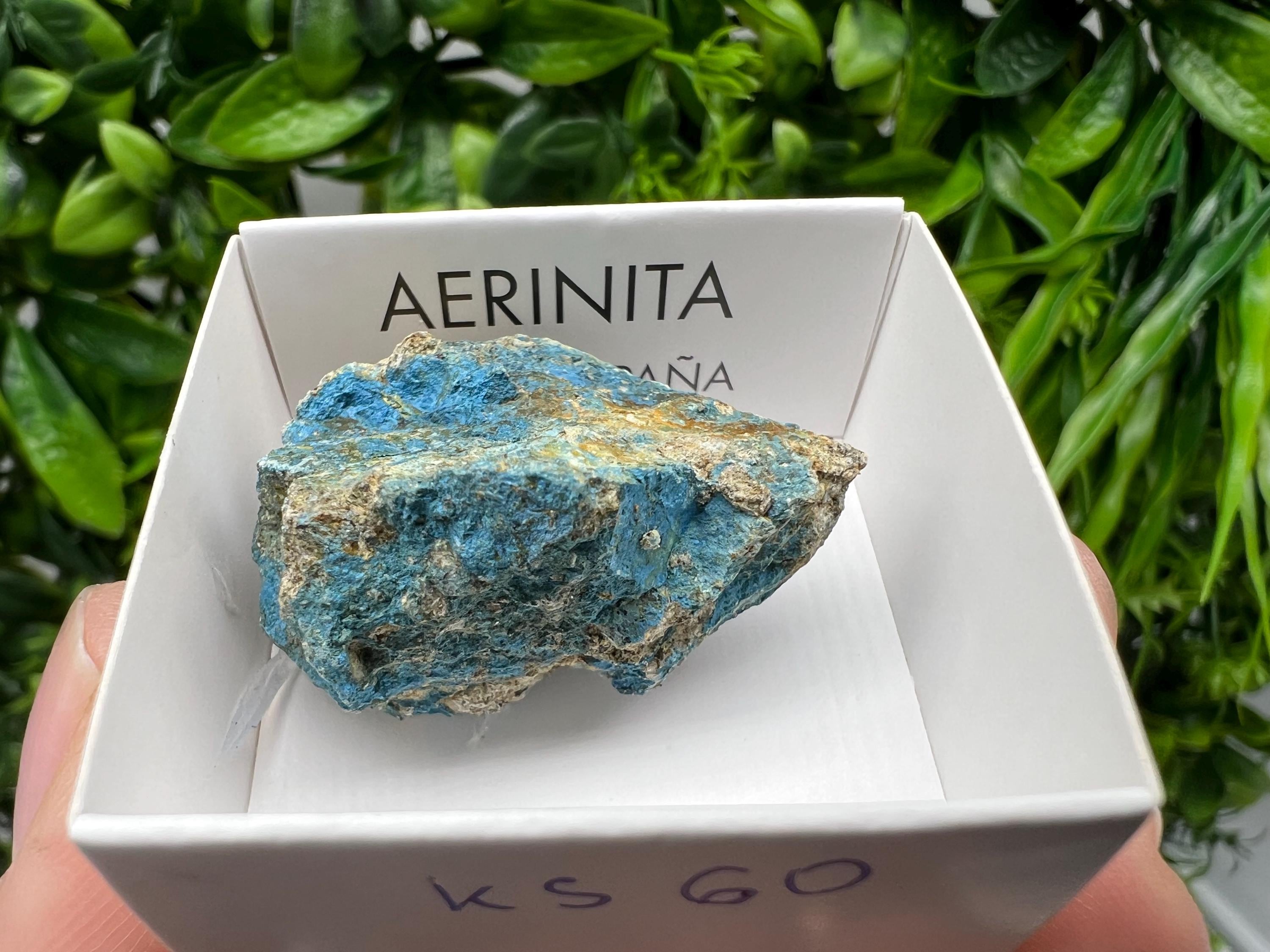 Rare Raw Aerinite Crystal, Mineral Specimen from Lleida, Spain