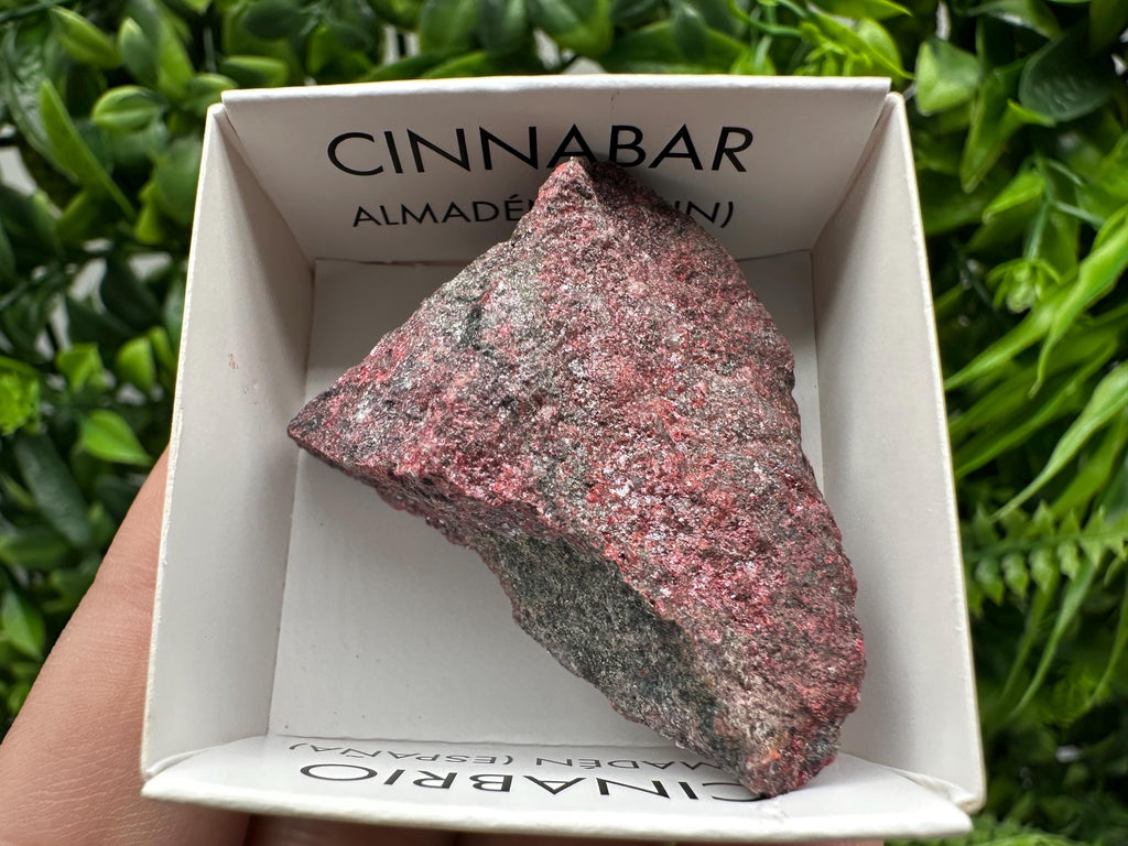 Red Cinnabar Crystal Specimen: Almaden Mines, Spain - Chakra Stone (4/3 cm)