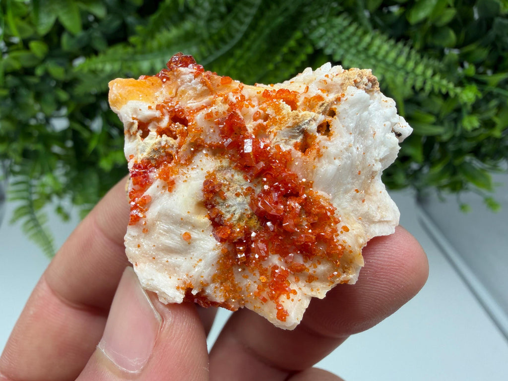 Red Vanadinite Crystal Cluster on Barite, Morocco Mineral Specimen