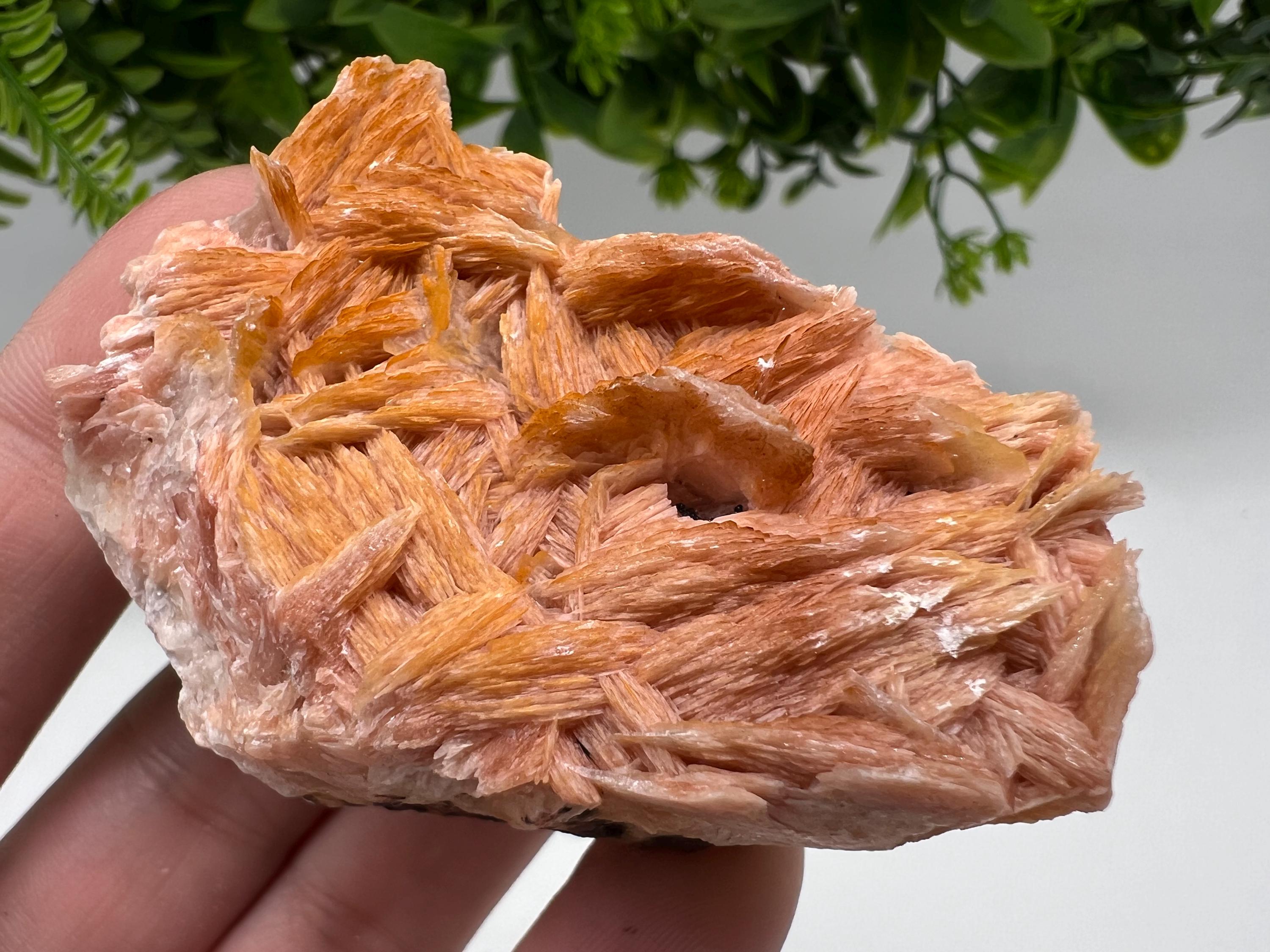 Wonderful Baryte with Cerussite on Galena from Morocco,Crystal, Mineral,Specimen,Cluster,Crystals,Barite Crystal,Cerussite Crystal,Specimen