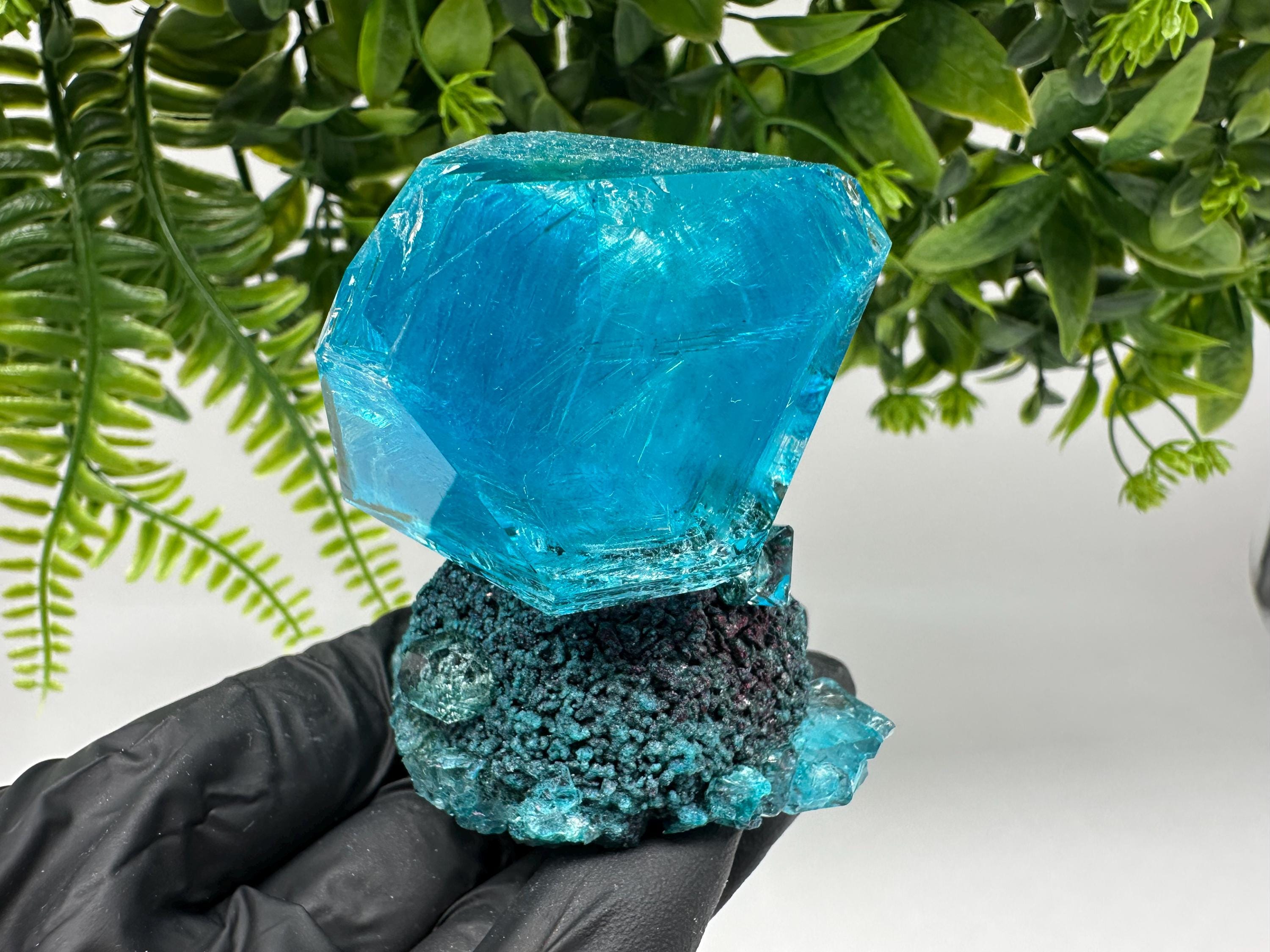 Exceptional Turquoise ALUNITE Aqua Crystal on Matrix UV Active, lab minerals
