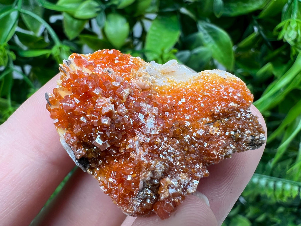Red Vanadinite on Barite Specimen, Morocco Crystal Cluster