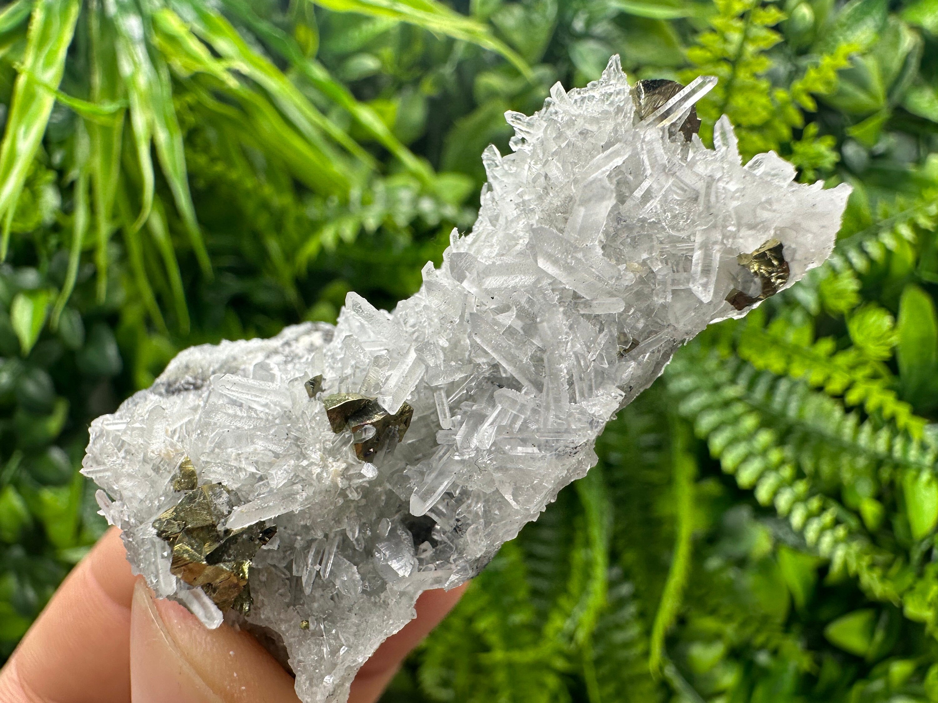 Chalcopyrite on Quartz: Borieva Mine, Bulgaria
