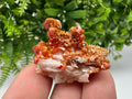 Red Vanadinite on Barite Specimen, Morocco Crystal Cluster
