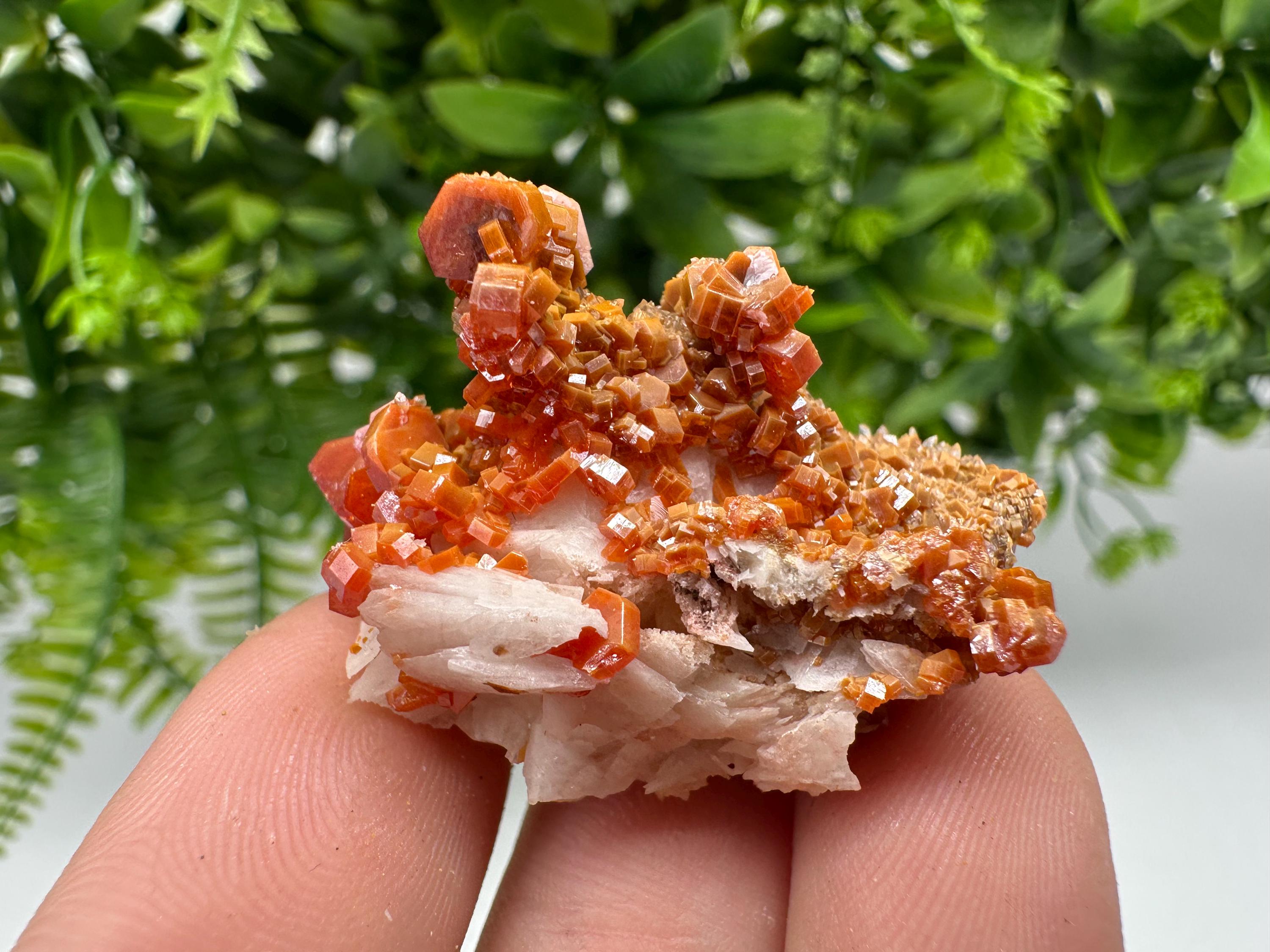 Red Vanadinite on Barite Specimen, Morocco Crystal Cluster