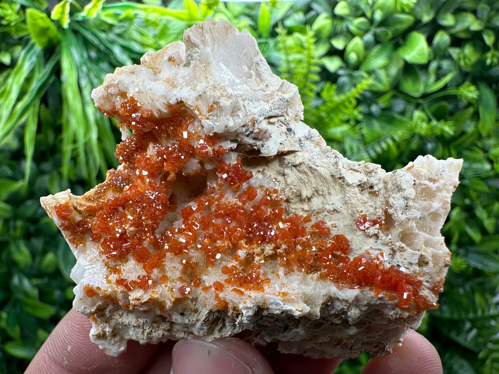 Red Vanadinite Crystal Cluster on Matrix, Morocco Mineral Specimen