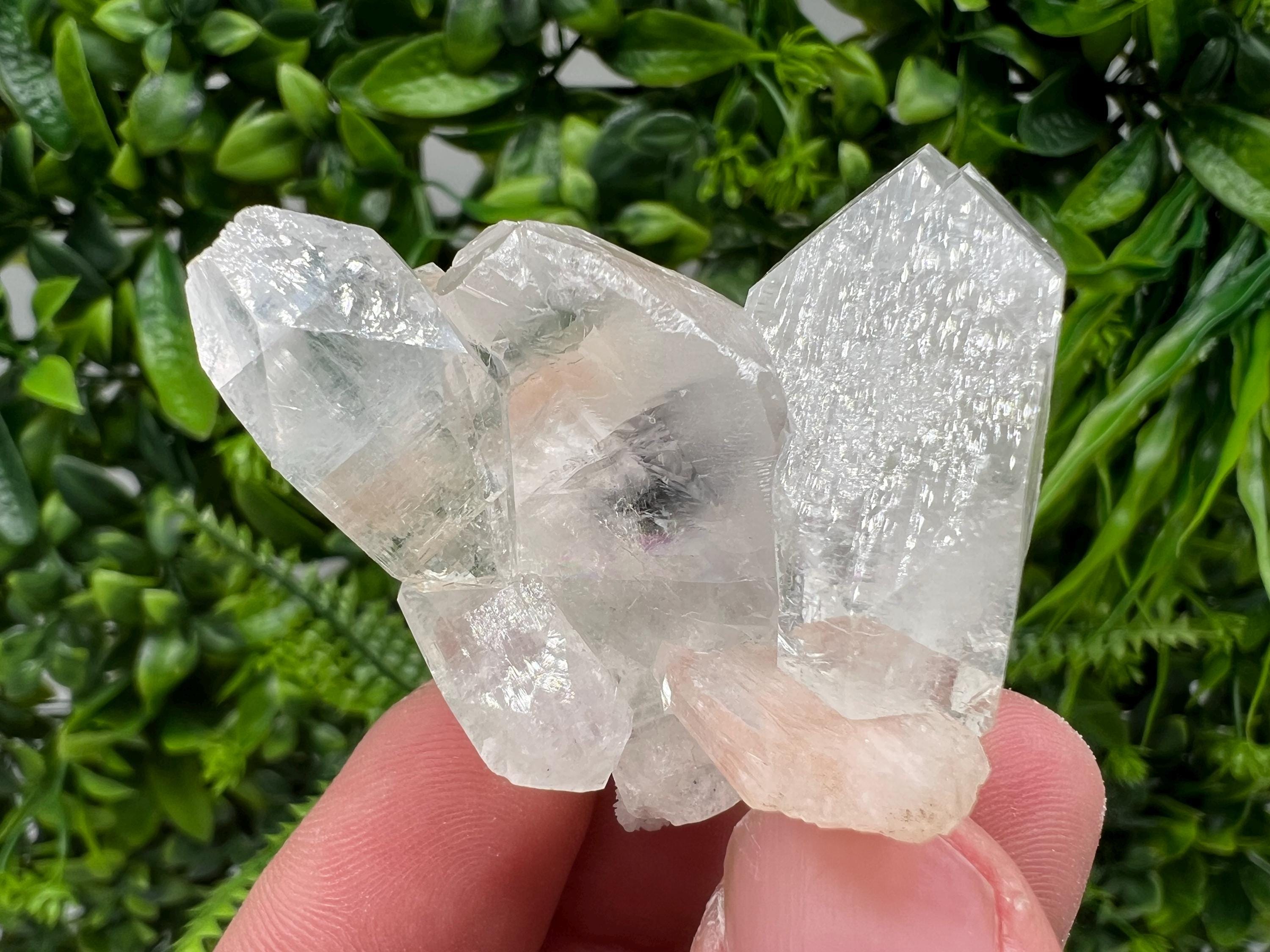 Transparent Apophyllite on Chalcedony, India Minerals Specimen