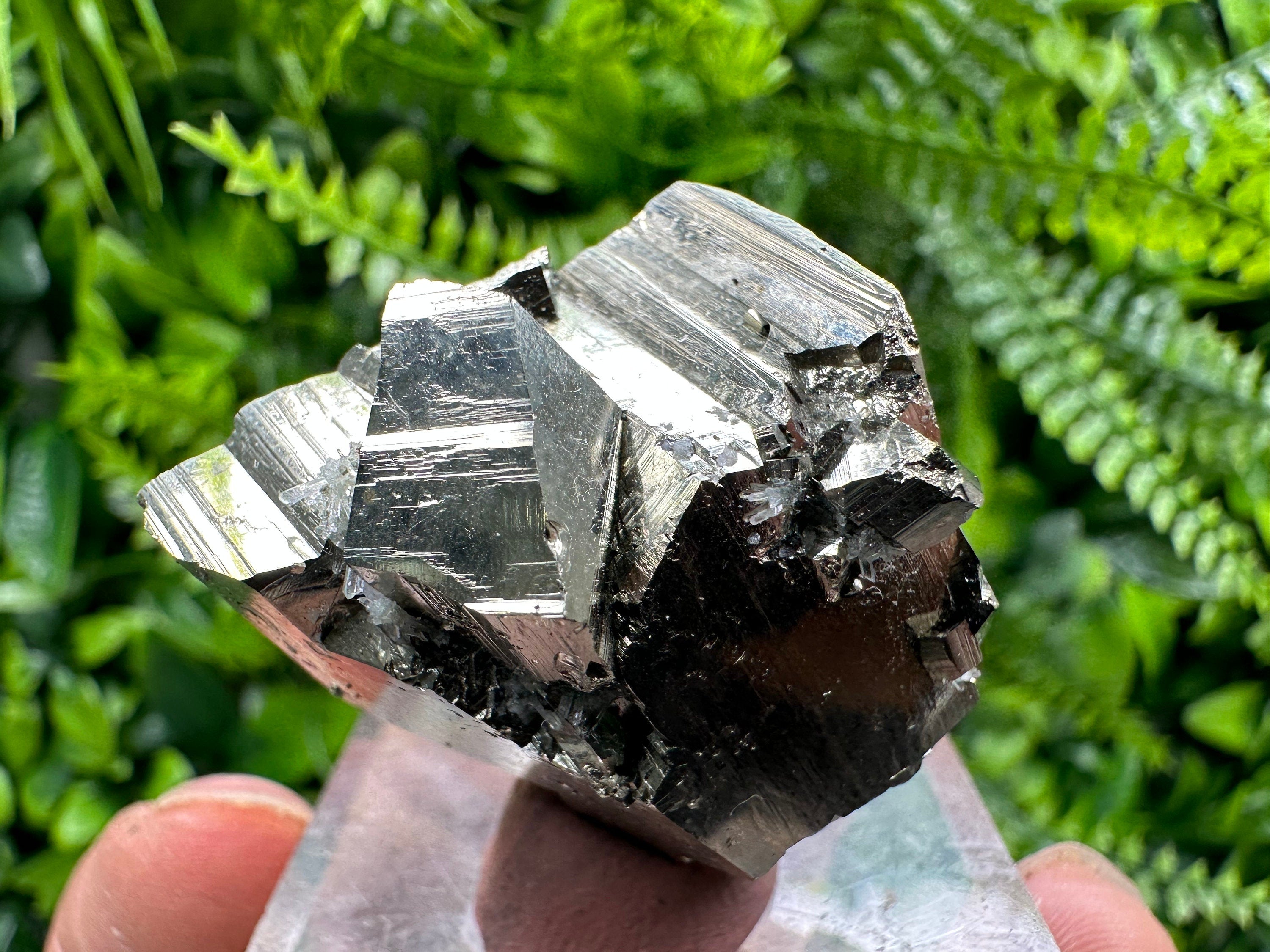 Golden Pyrite Cluster: Rare Floating Crystallization, Bulgaria