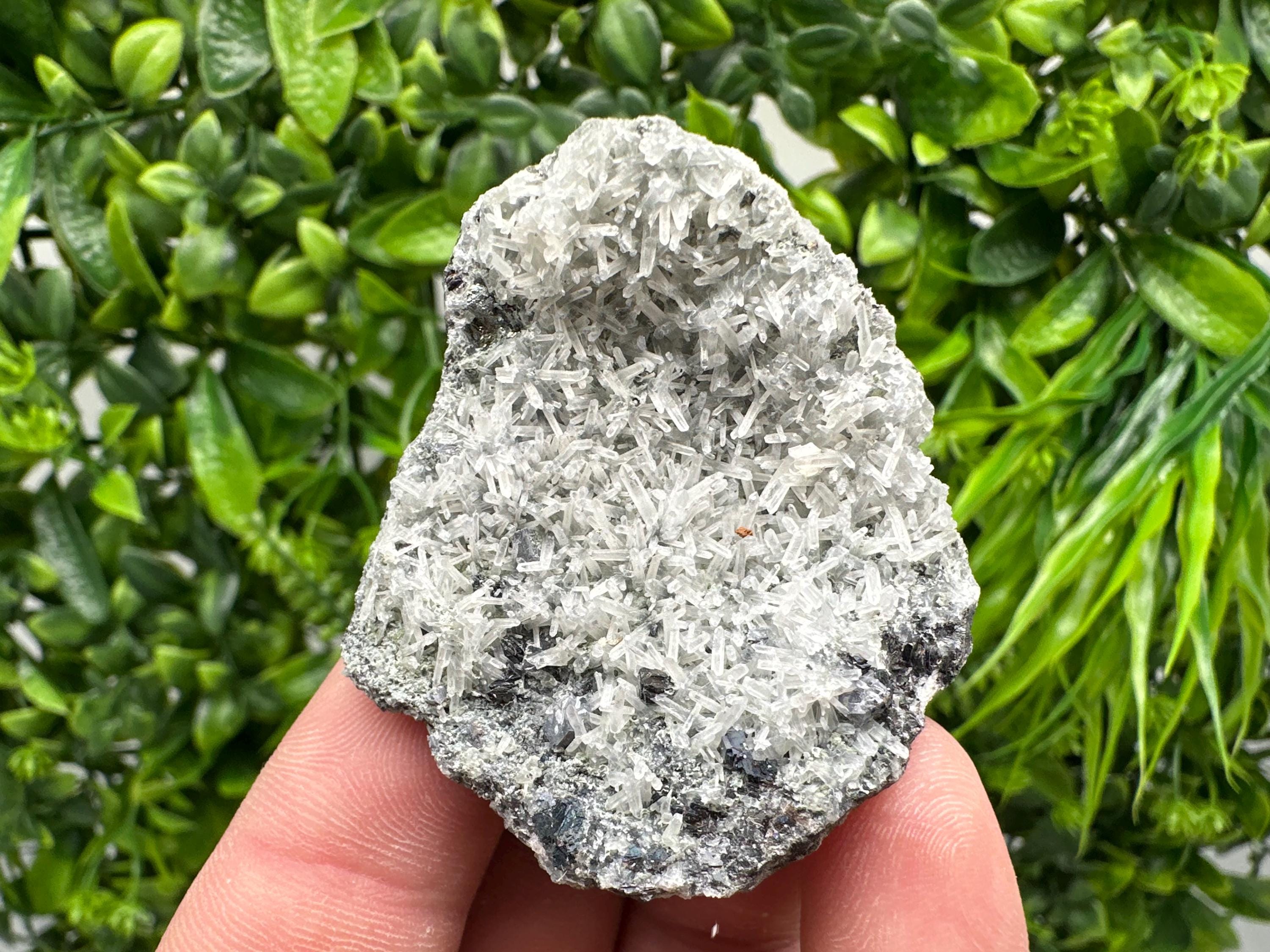 Pyrite on Green Quartz Specimen: Borieva Mine Mineral Decor