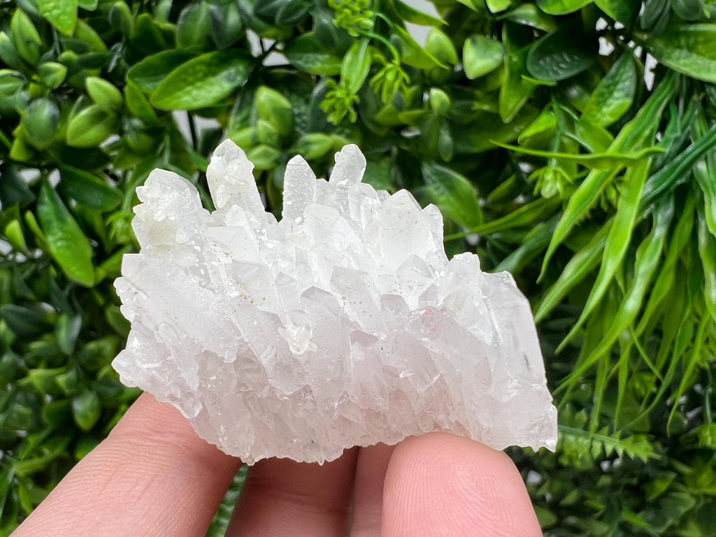 Transparent Quartz on Chlorite Matrix, Borieva Mine, Bulgaria