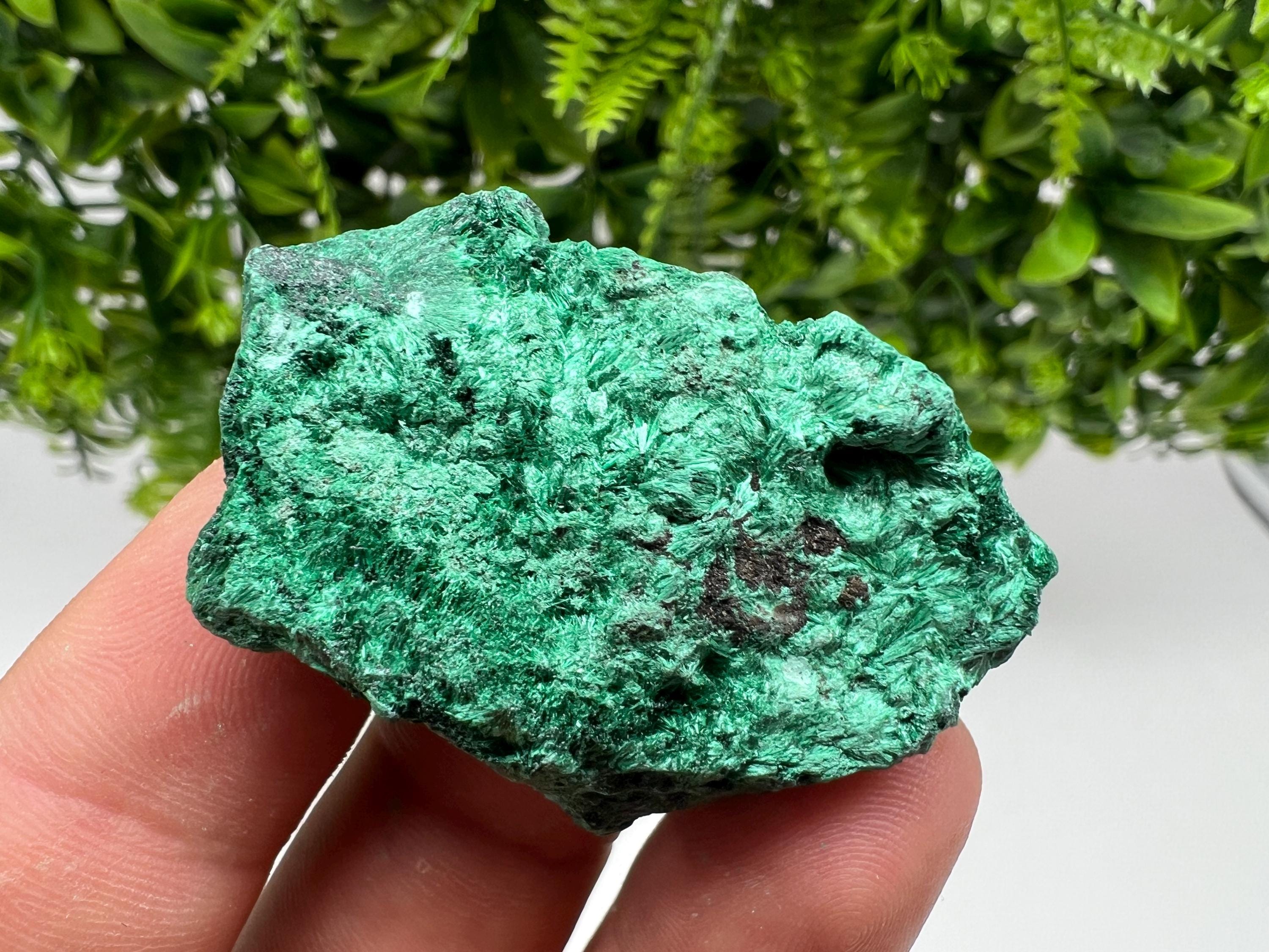 Malachite Crystal from Congo,Minerals,Crystals from Congo,Green Malachite, Malachite,Natural Malachite,Malachite Stone,Chakra, Specimens
