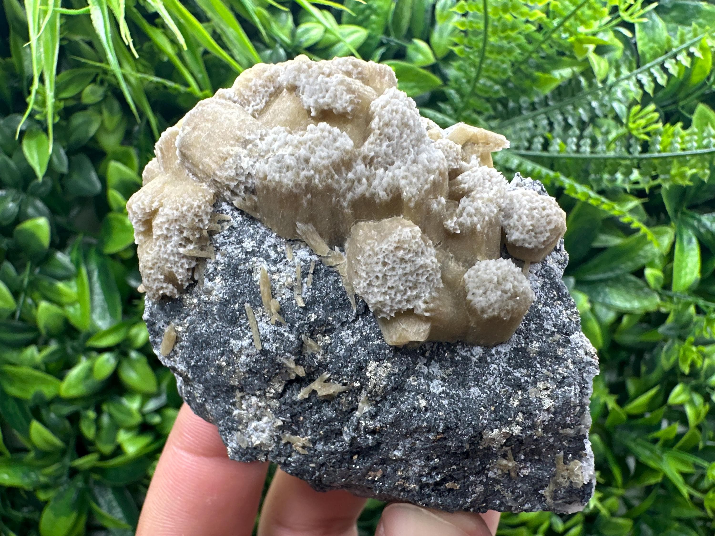 Rare Calcite Cluster on Matrix, Bulgaria Mineral Specimen