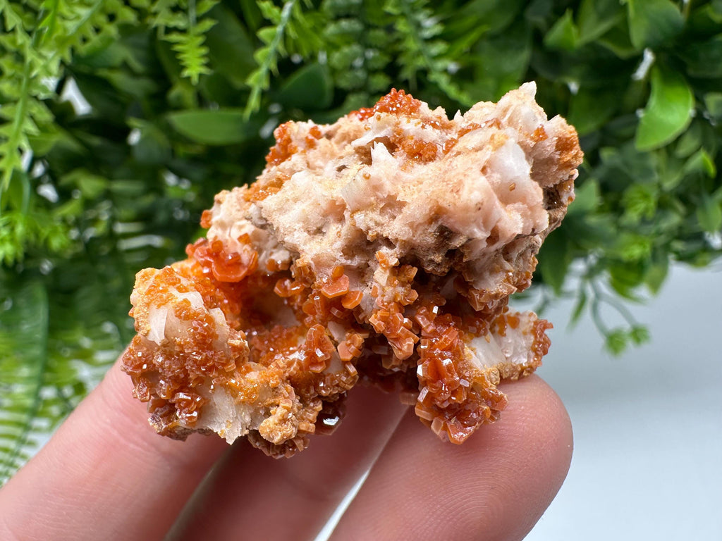 Red Vanadinite on Barite from Marocco,crystal minerals Speciment cluster Vanadinite crystal Vanadinite Geology Vanadinite cluster minerals